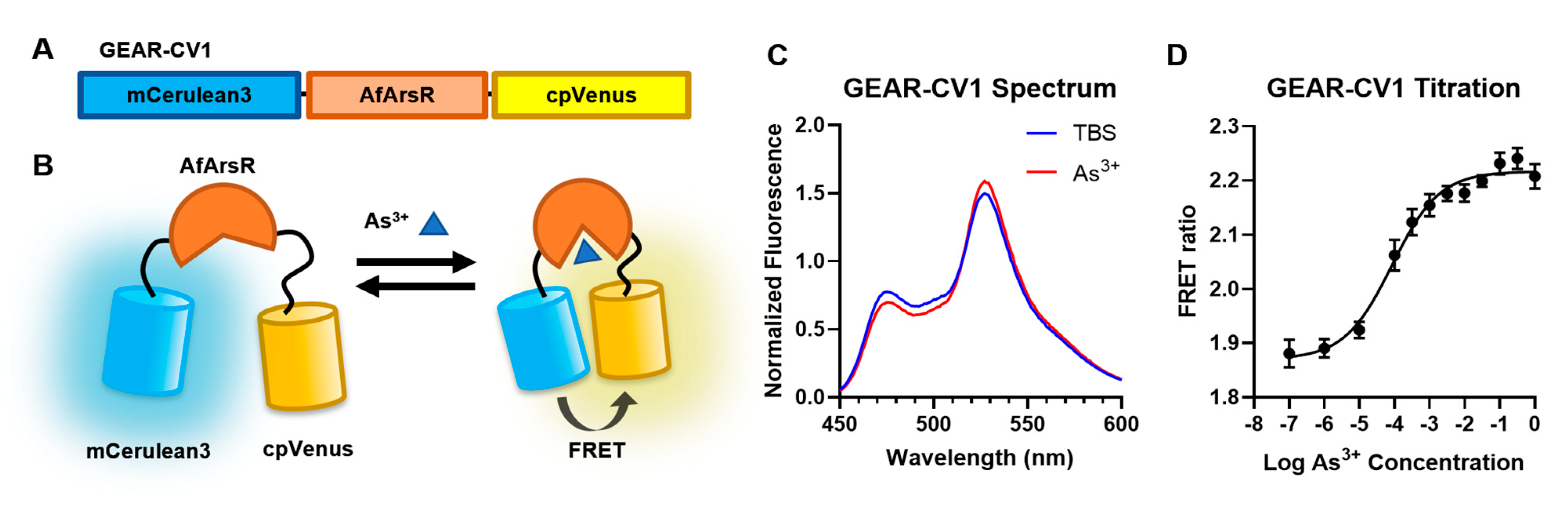 Biomolecules 11 01276 g001 Biomolecules 11 01276 g001