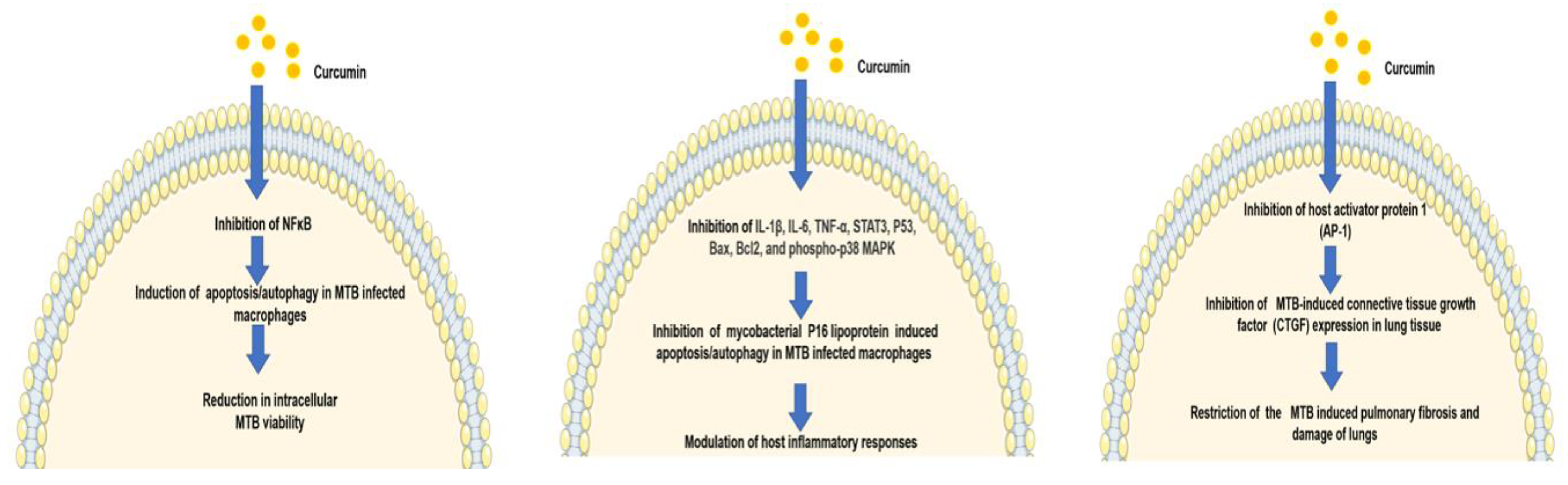 Biomolecules 11 01278 g003 550