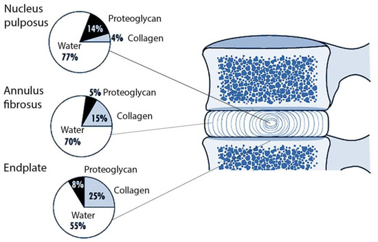 Biomolecules 11 01279 g002 550