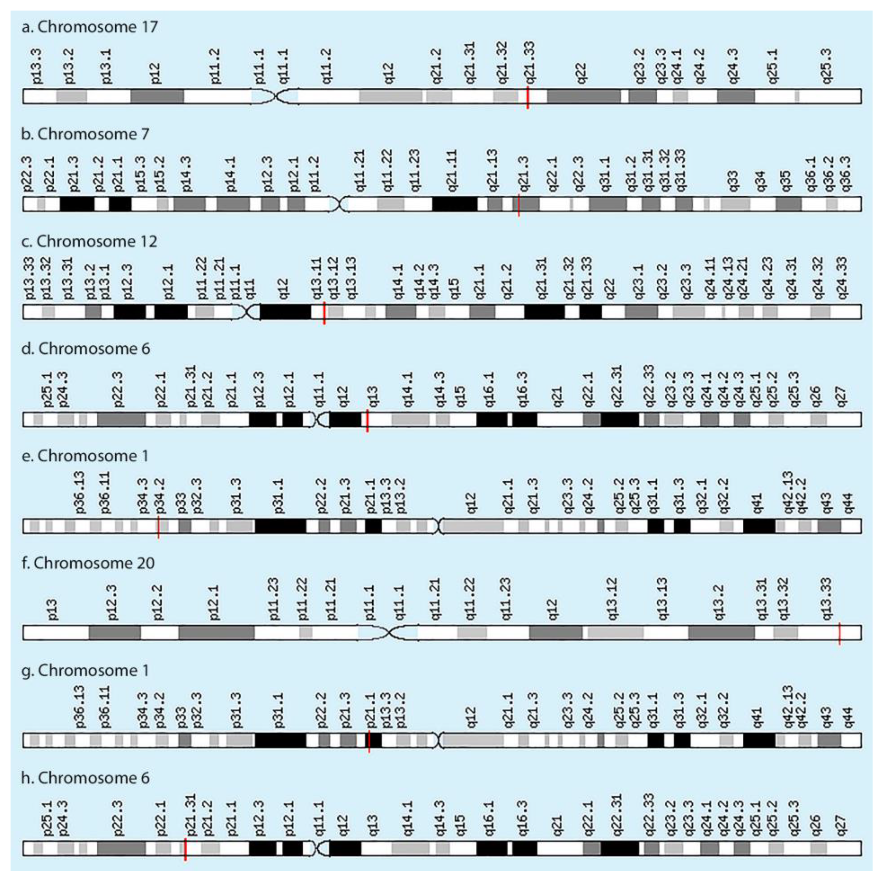 The Role of Polymorphisms in Collagen-Encoding Genes in The Role of Polymorphisms in Collagen-Encoding Genes in
