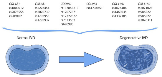 Biomolecules 11 01279 g004 550