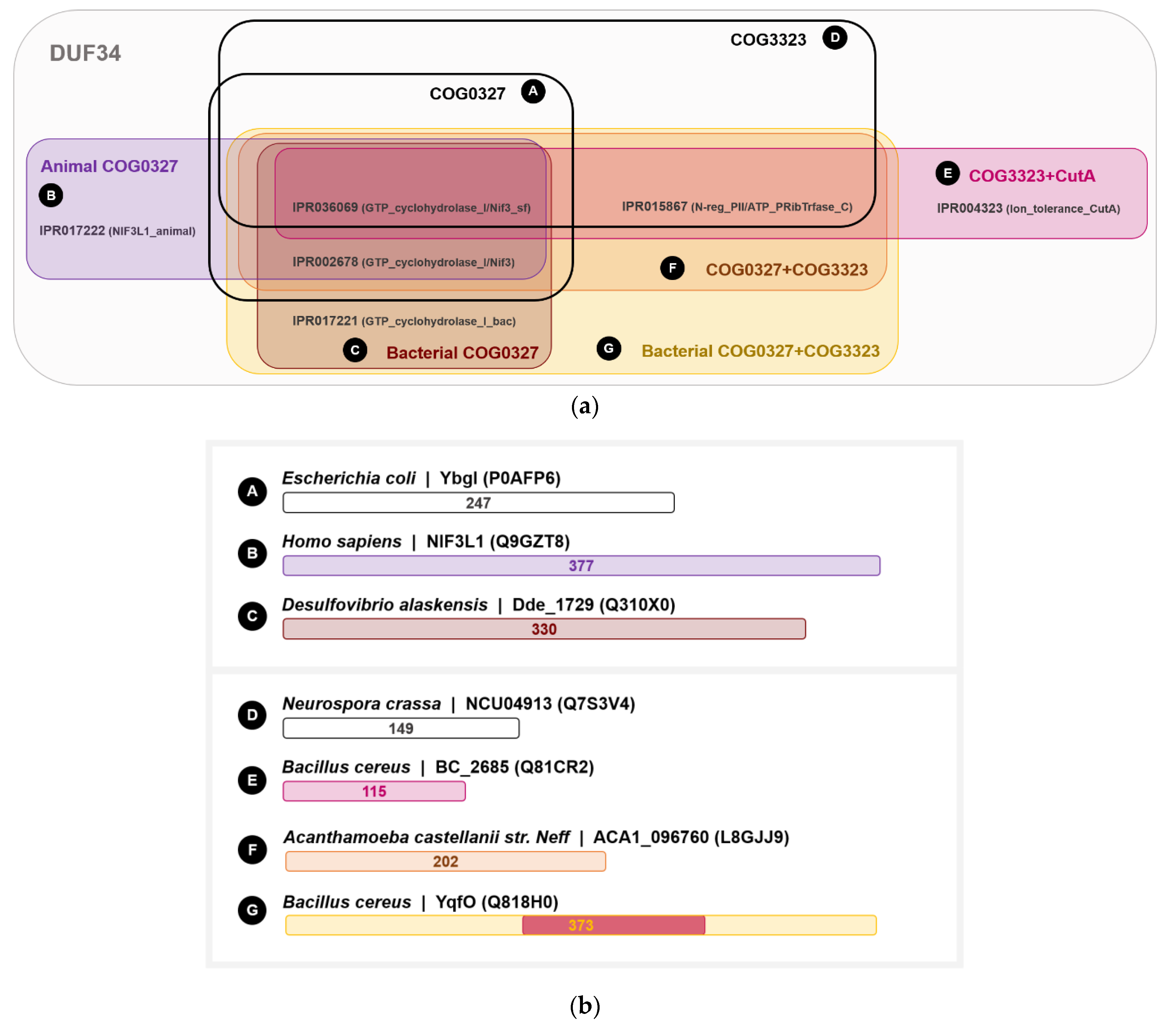 Biomolecules 11 01282 g004 Biomolecules 11 01282 g004