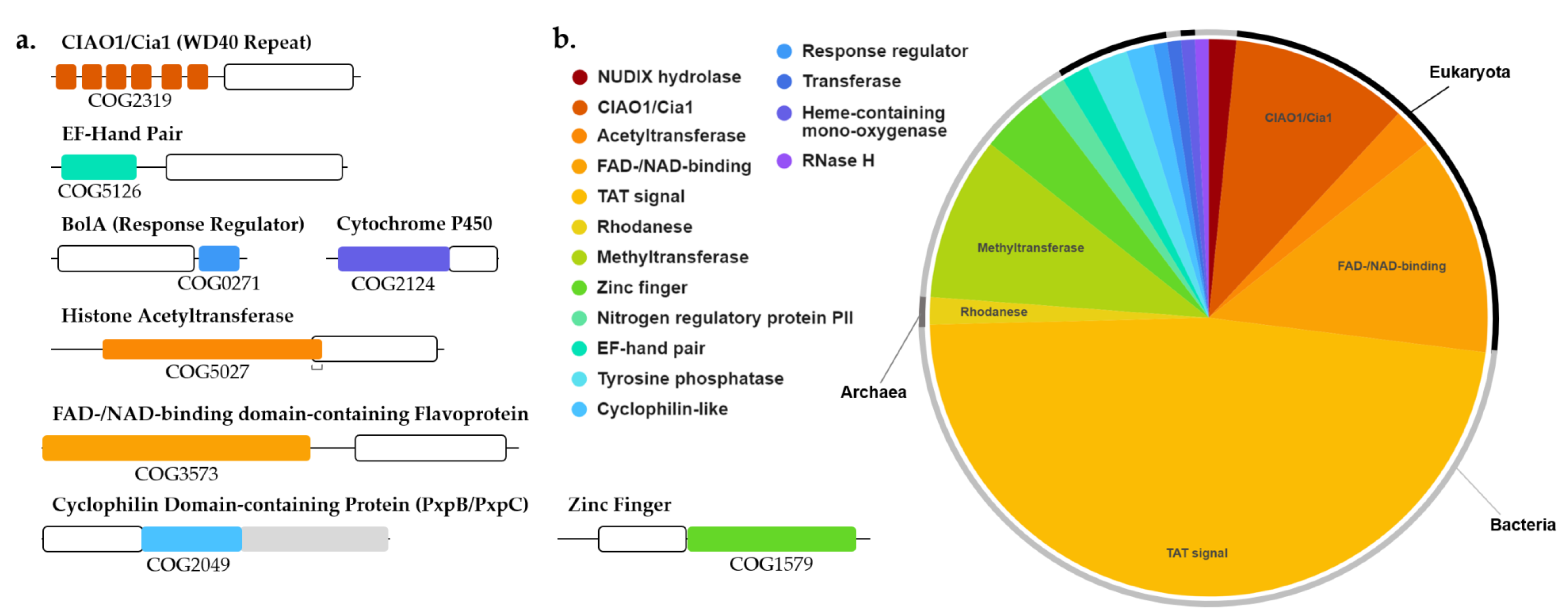 Biomolecules 11 01282 g007a Biomolecules 11 01282 g007a