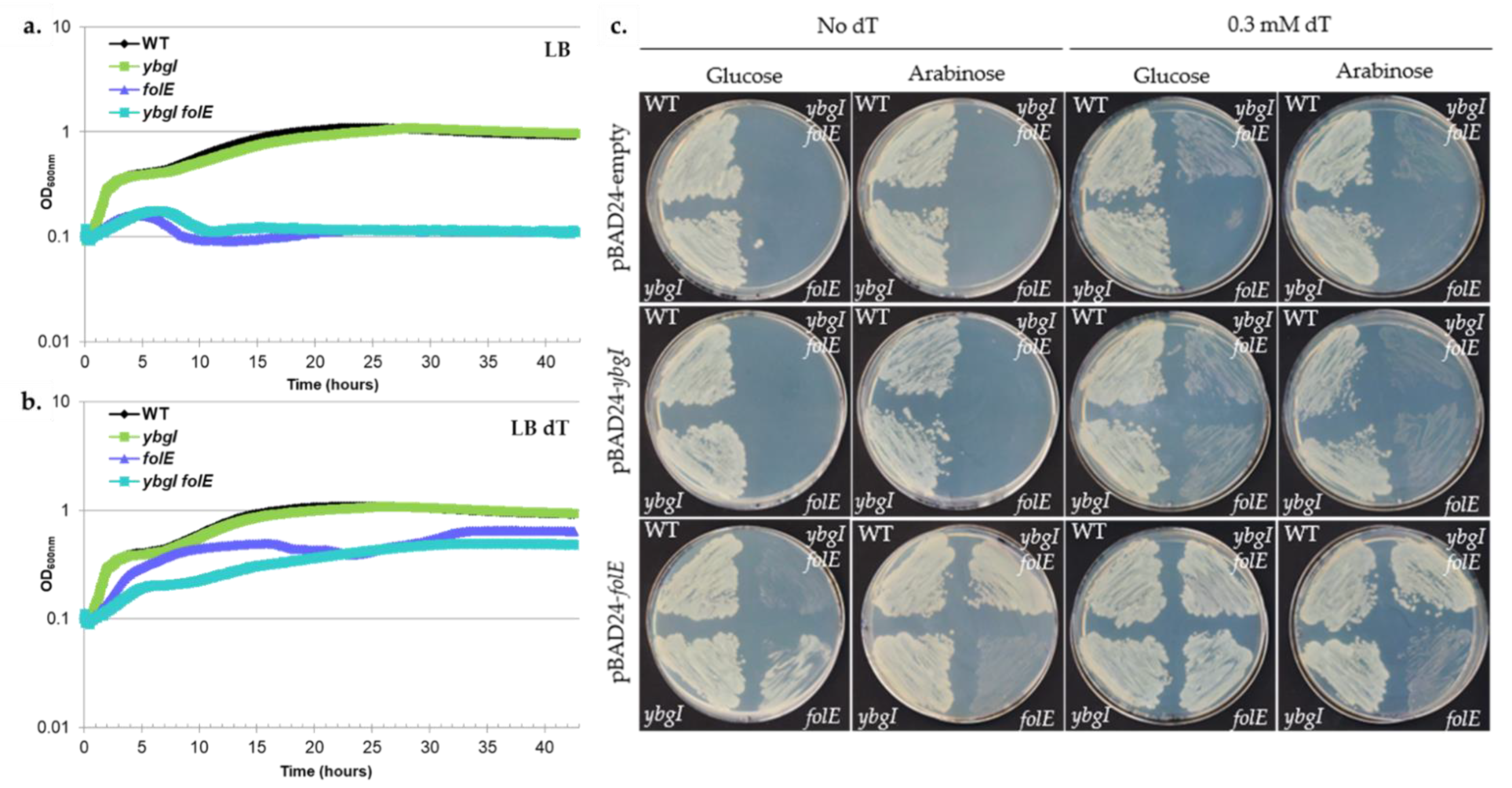 Biomolecules 11 01282 g008 Biomolecules 11 01282 g008