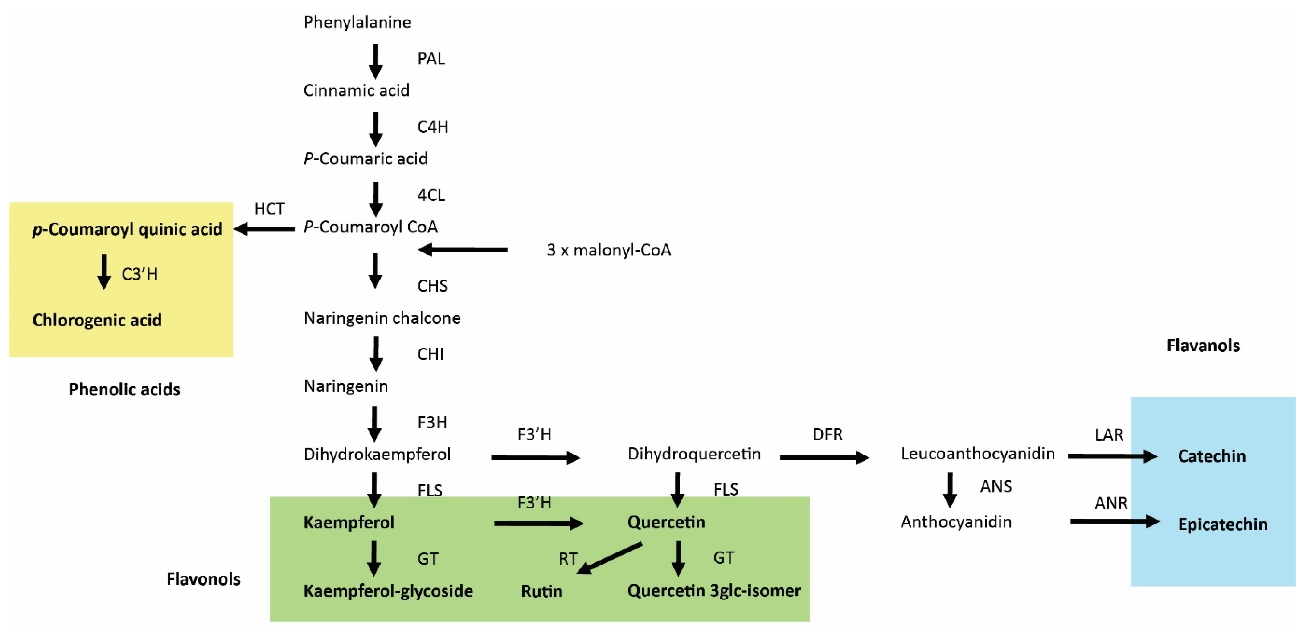 Biomolecules 11 01283 g009