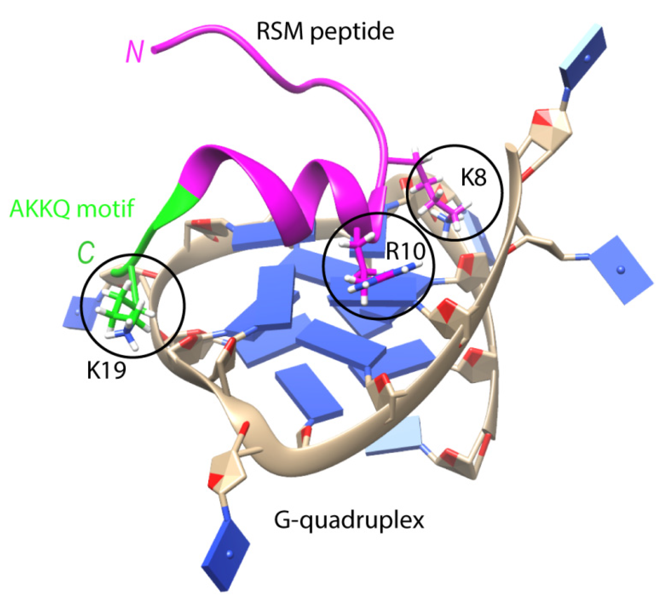 Biomolecules 11 01284 g003 Biomolecules 11 01284 g003