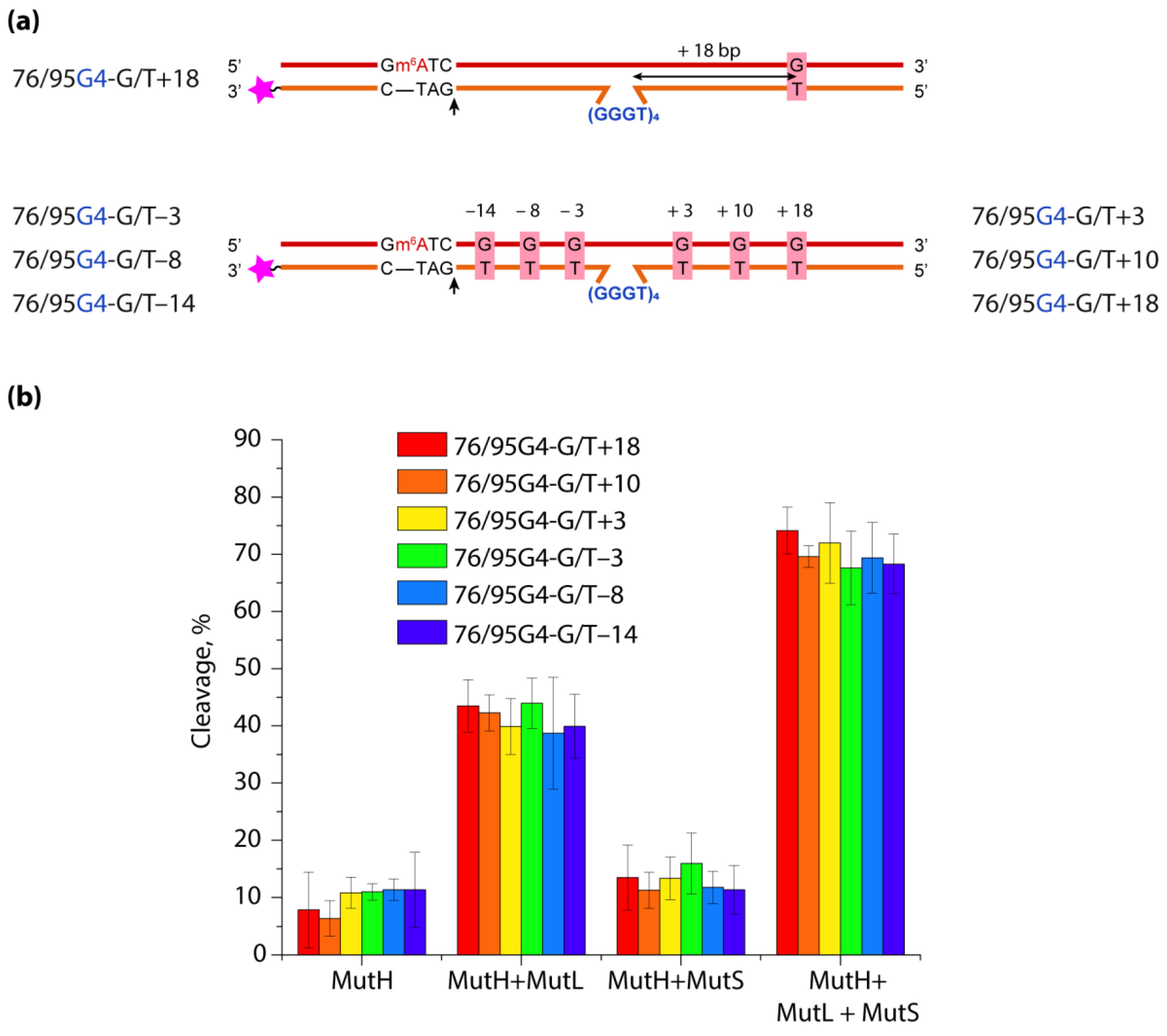 Biomolecules 11 01284 g007 Biomolecules 11 01284 g007