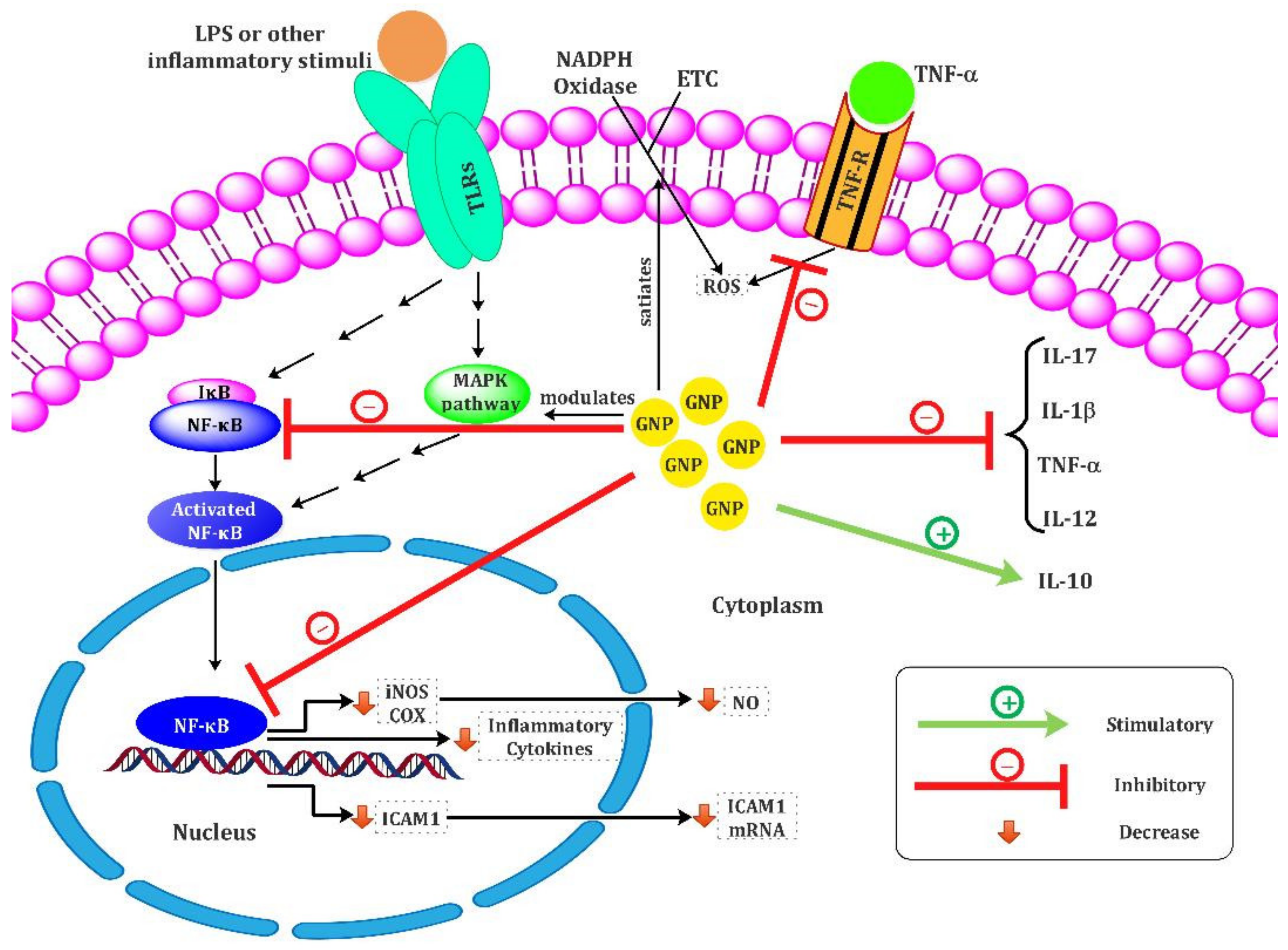 Biomolecules 11 01289 g001