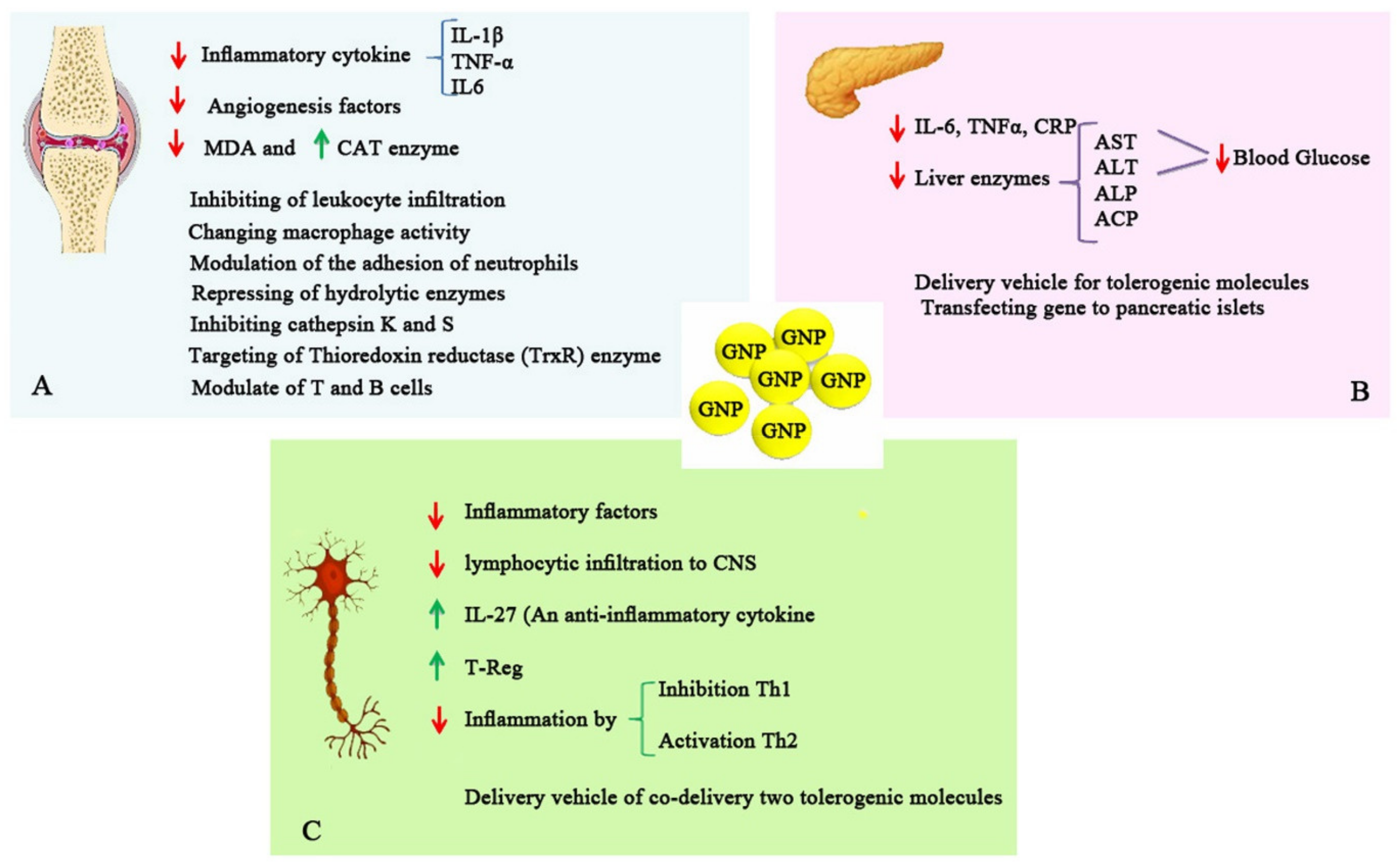 Biomolecules 11 01289 g003