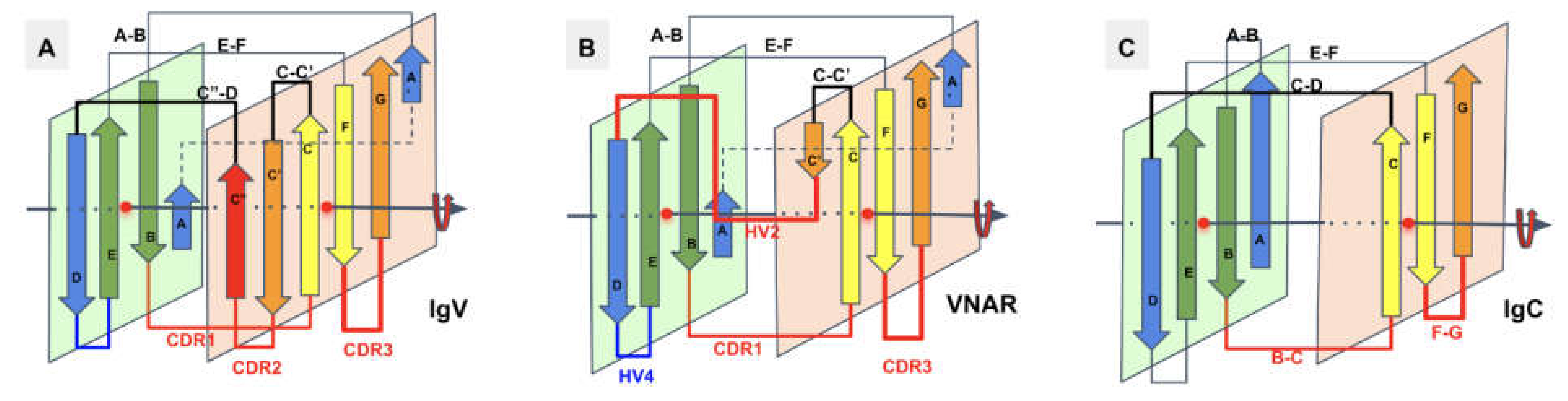 Biomolecules 11 01290 g004