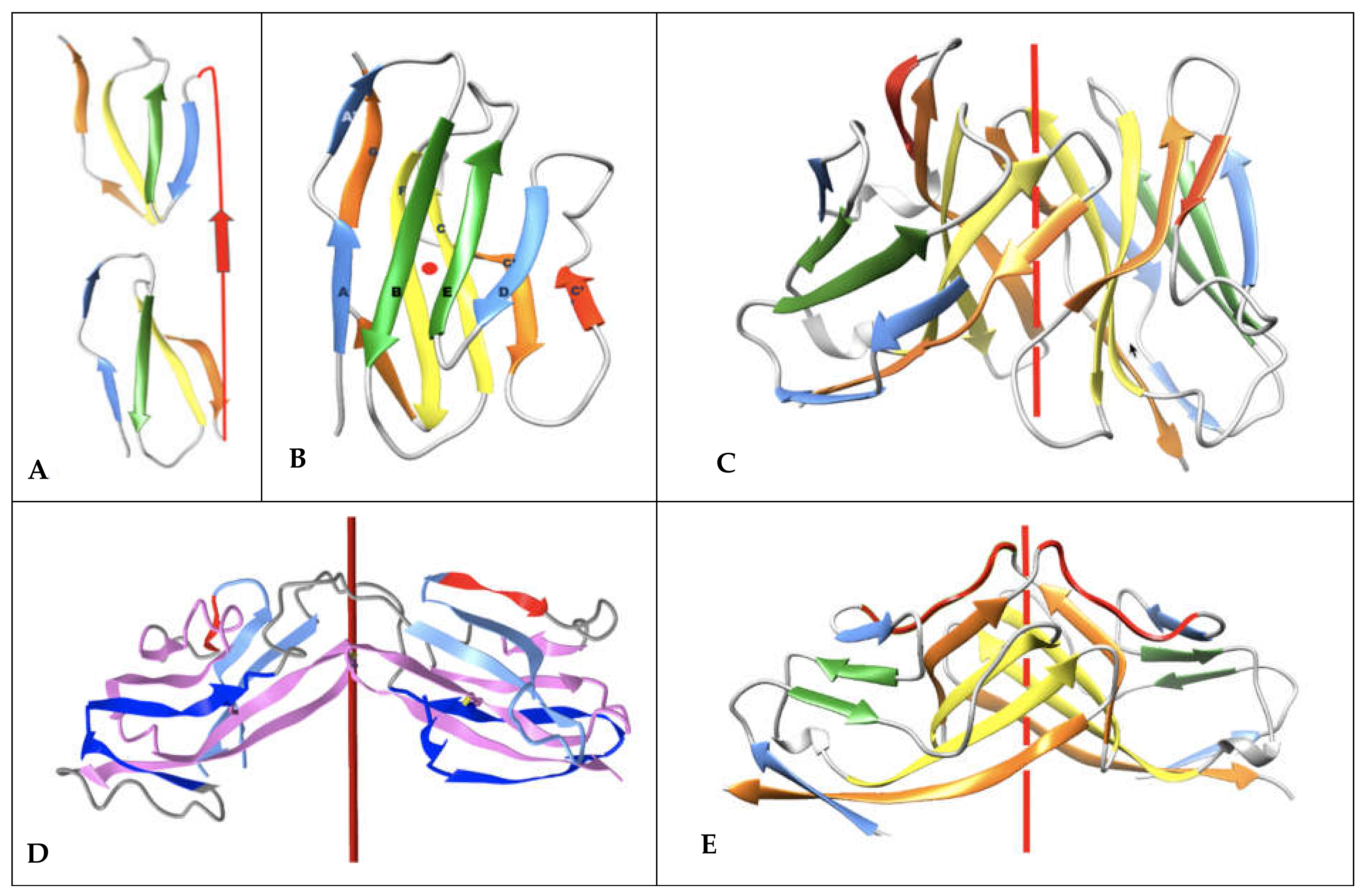 Biomolecules 11 01290 g005a