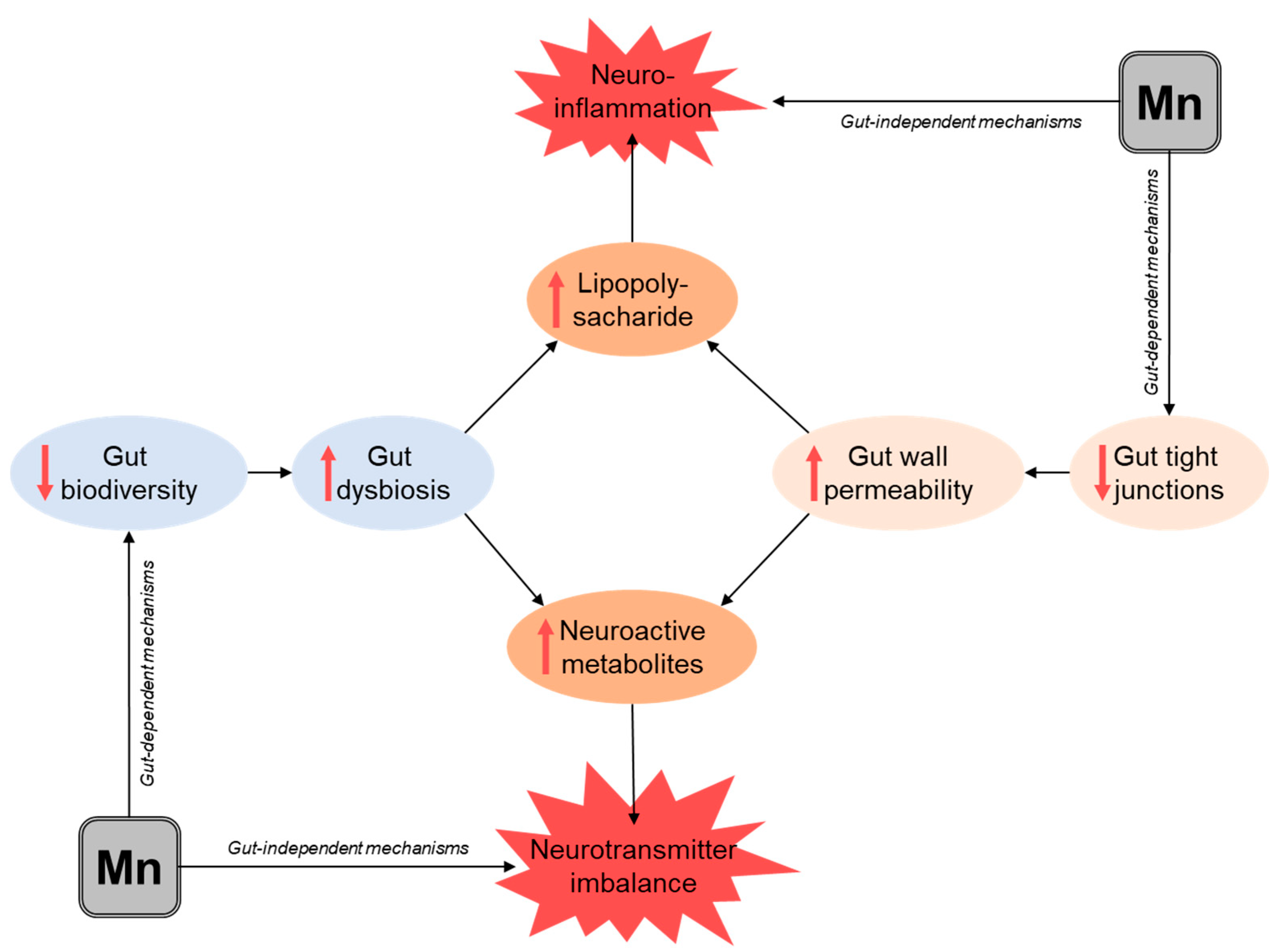 Biomolecules 11 01292 g001