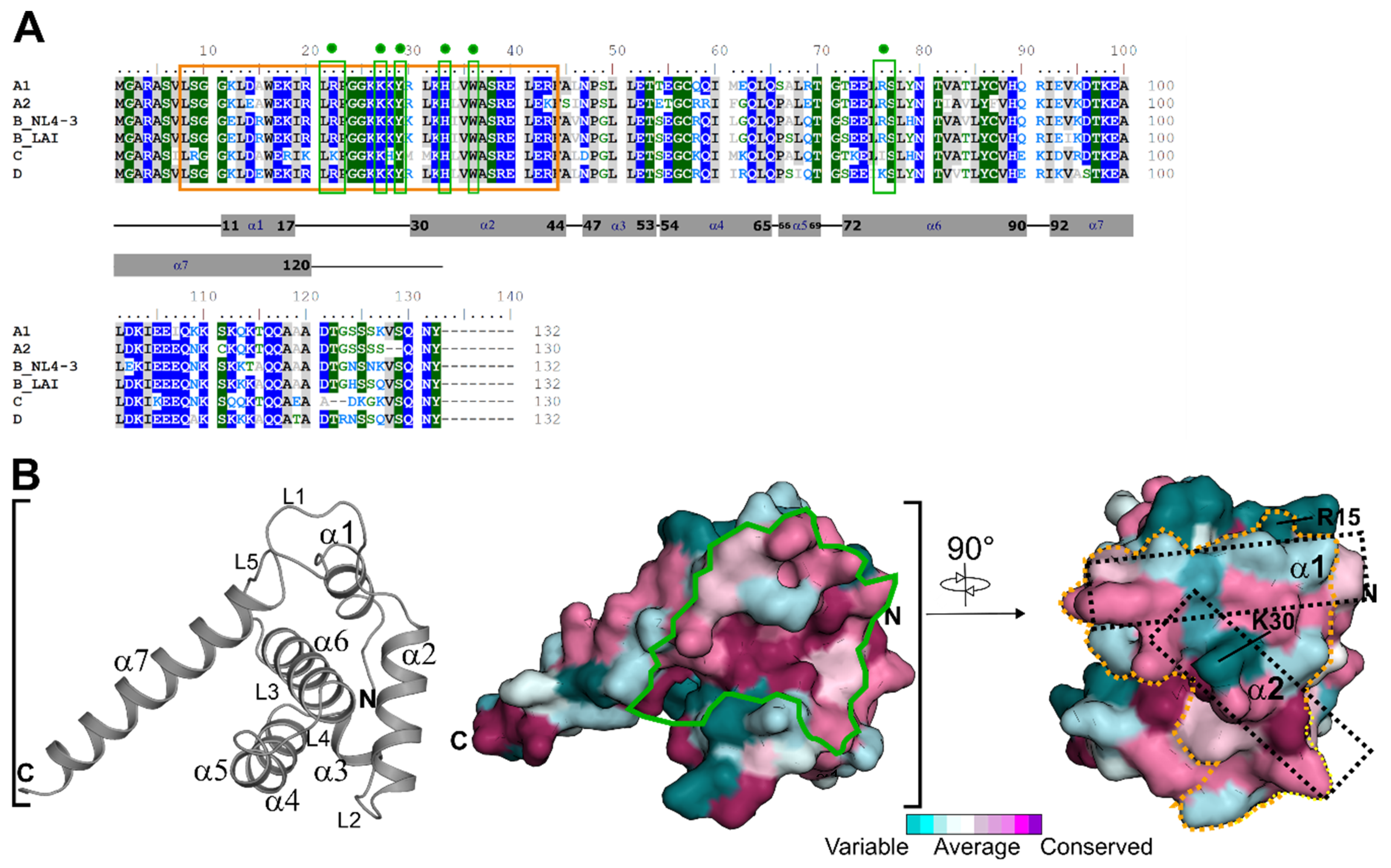 Biomolecules 11 01294 g001 550