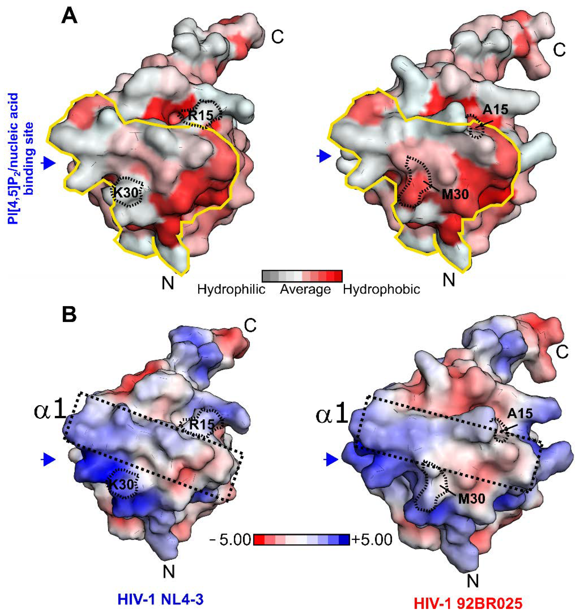 Biomolecules 11 01294 g004 550