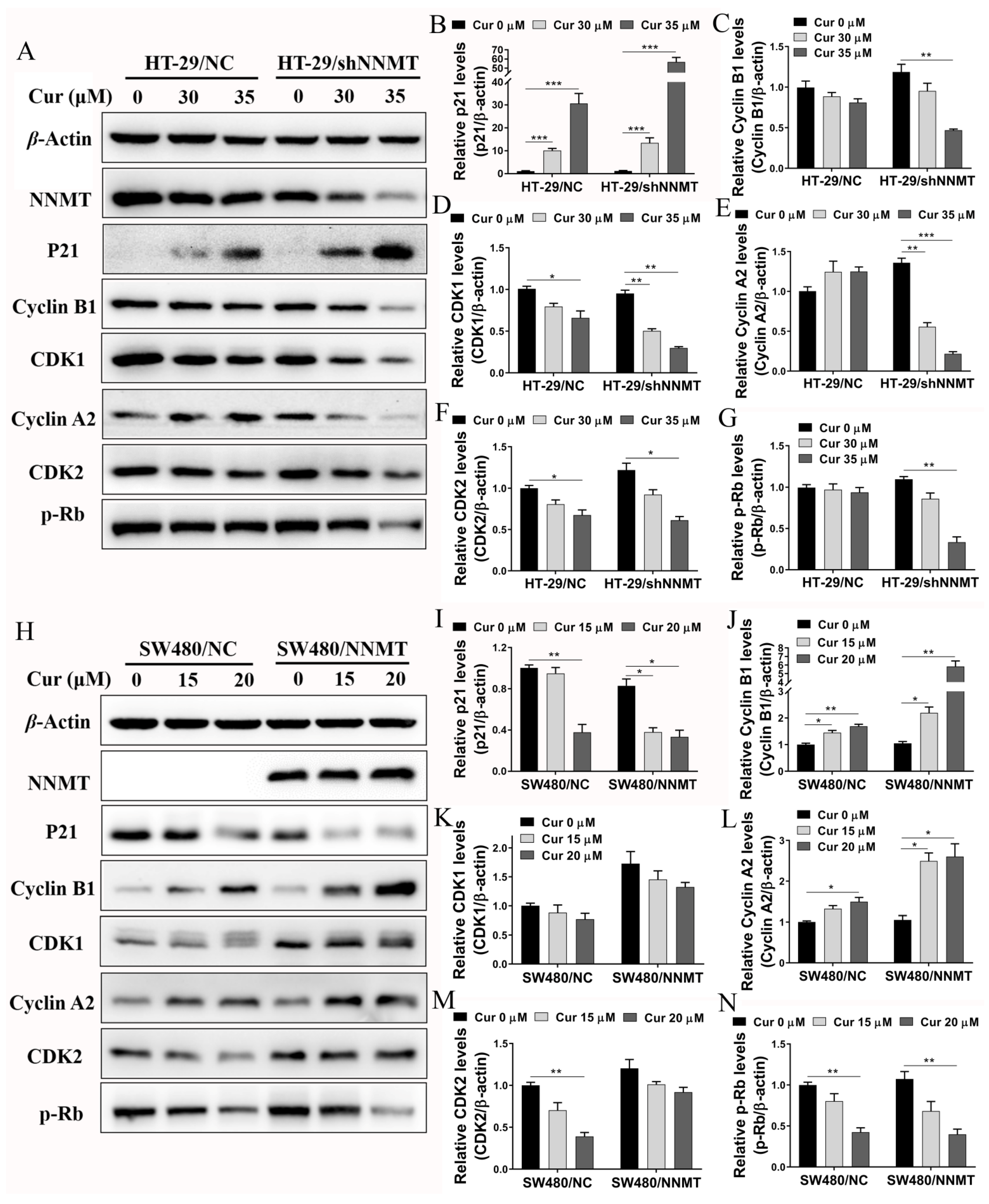 Biomolecules 11 01295 g004