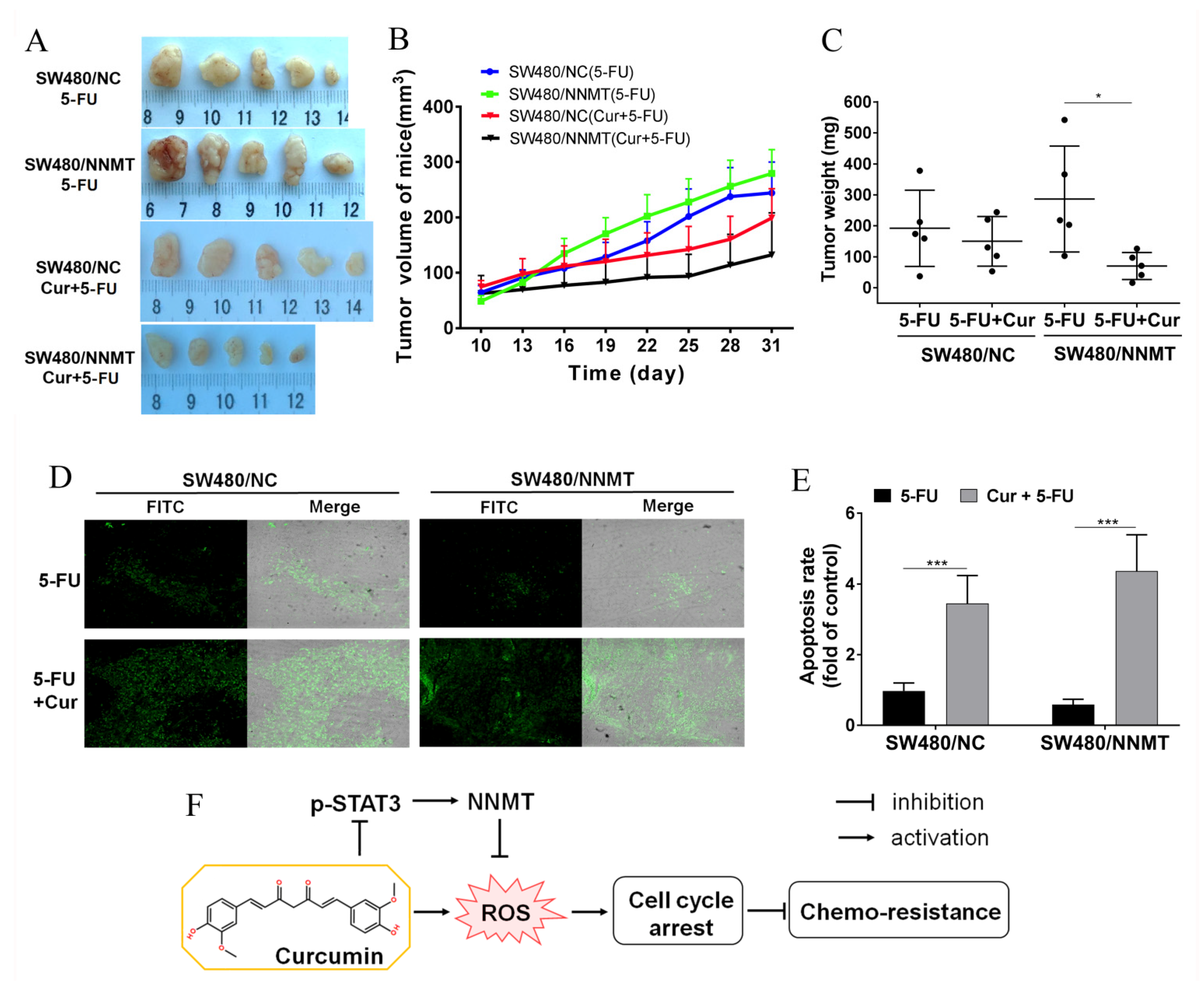 Biomolecules 11 01295 g008