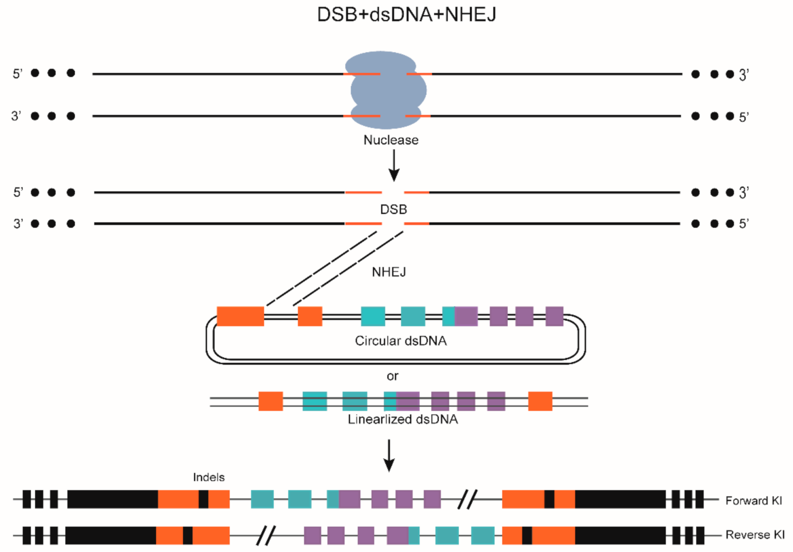 Biomolecules 11 01300 g002