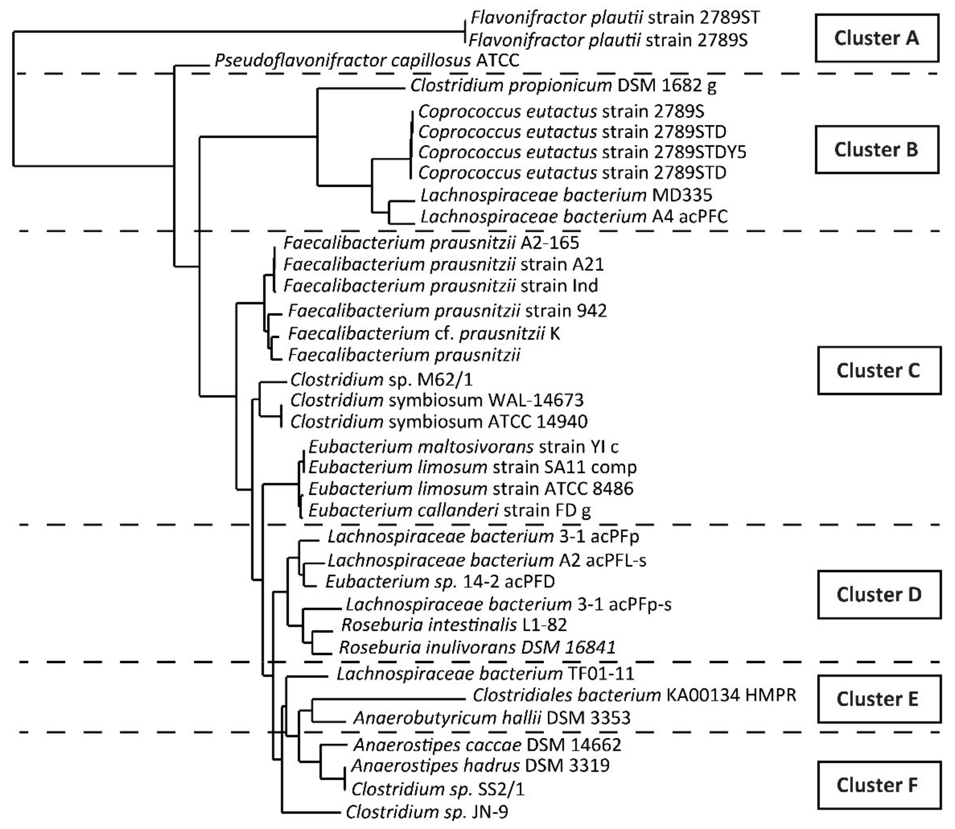 Biomolecules 11 01303 g002 550