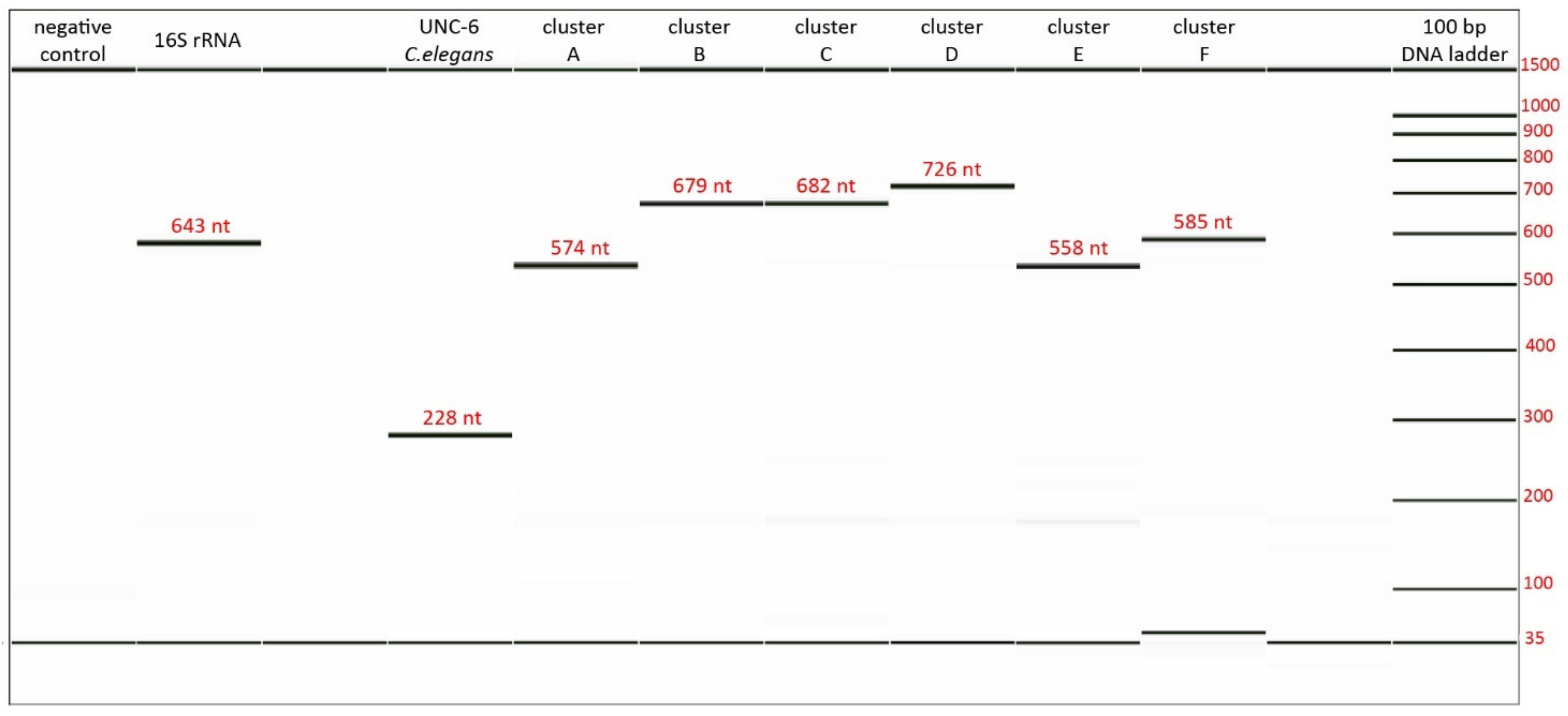 Biomolecules 11 01303 g003 550