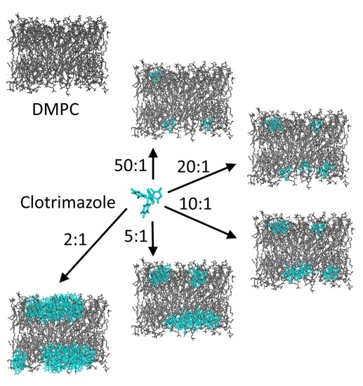 Biomolecules | Special Issue : State-of-the-Art on Biochemistry and ...