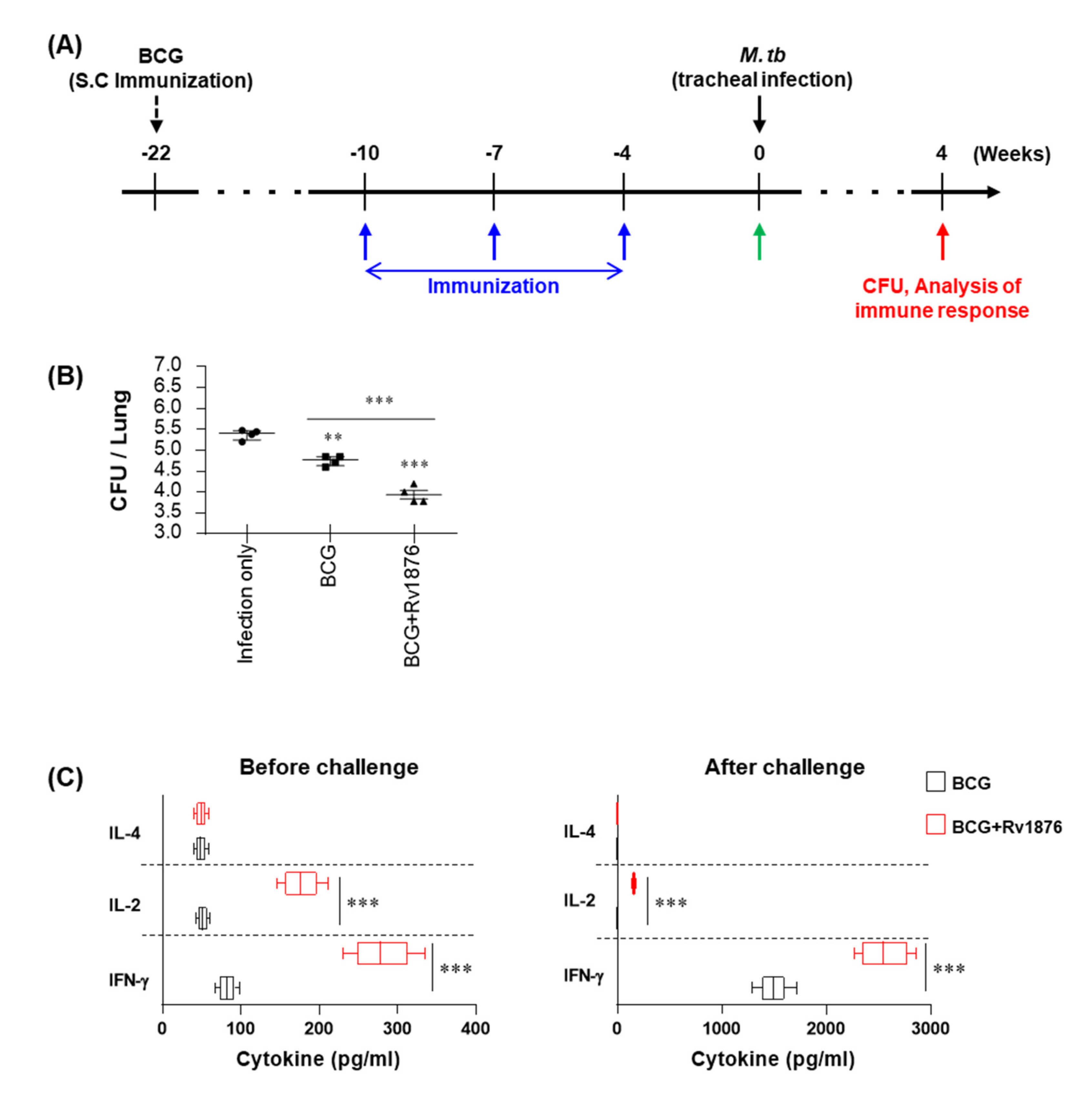 Biomolecules 11 01306 g004 Biomolecules 11 01306 g004