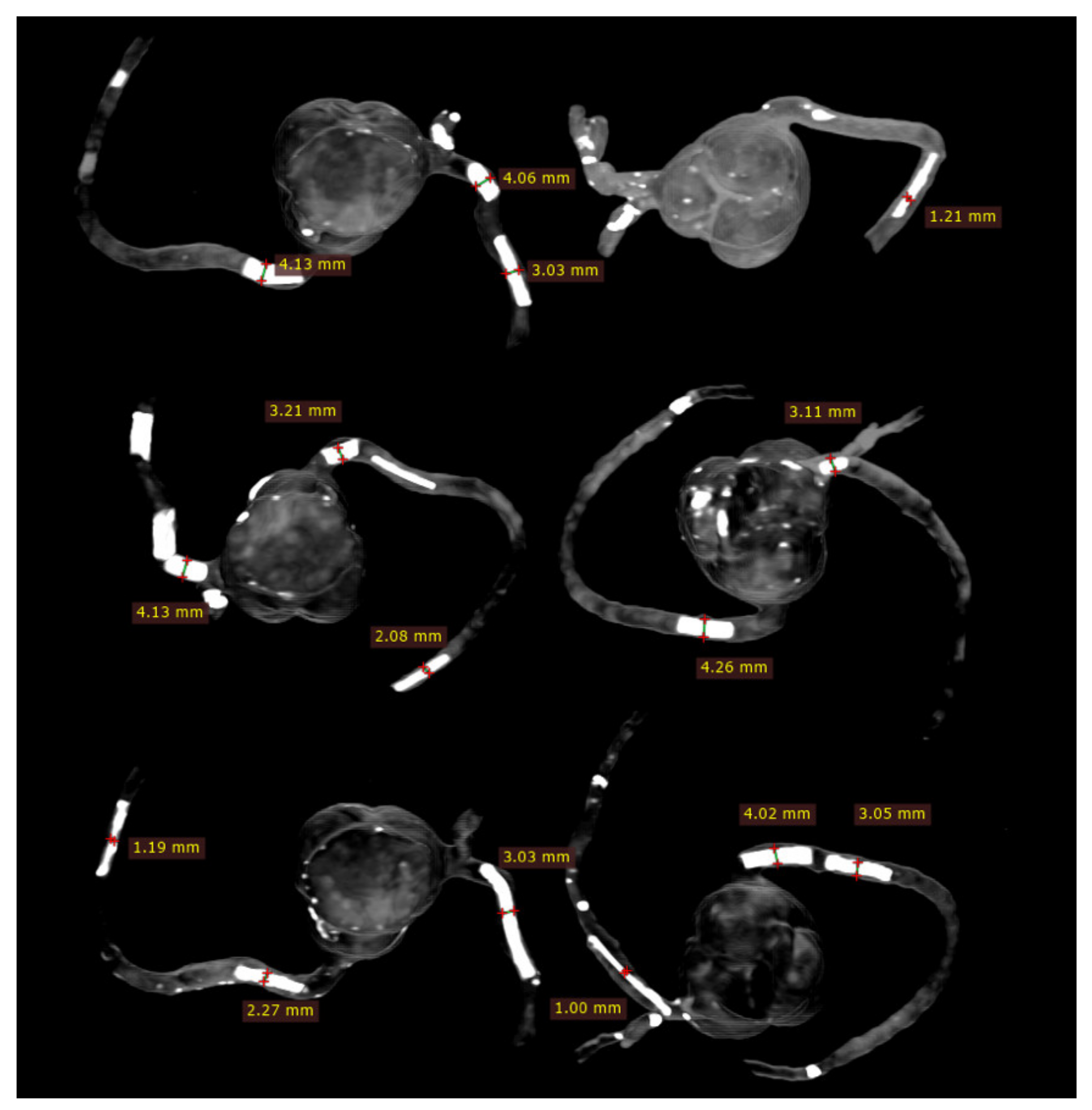 Biomolecules 11 01307 g004 Biomolecules 11 01307 g004