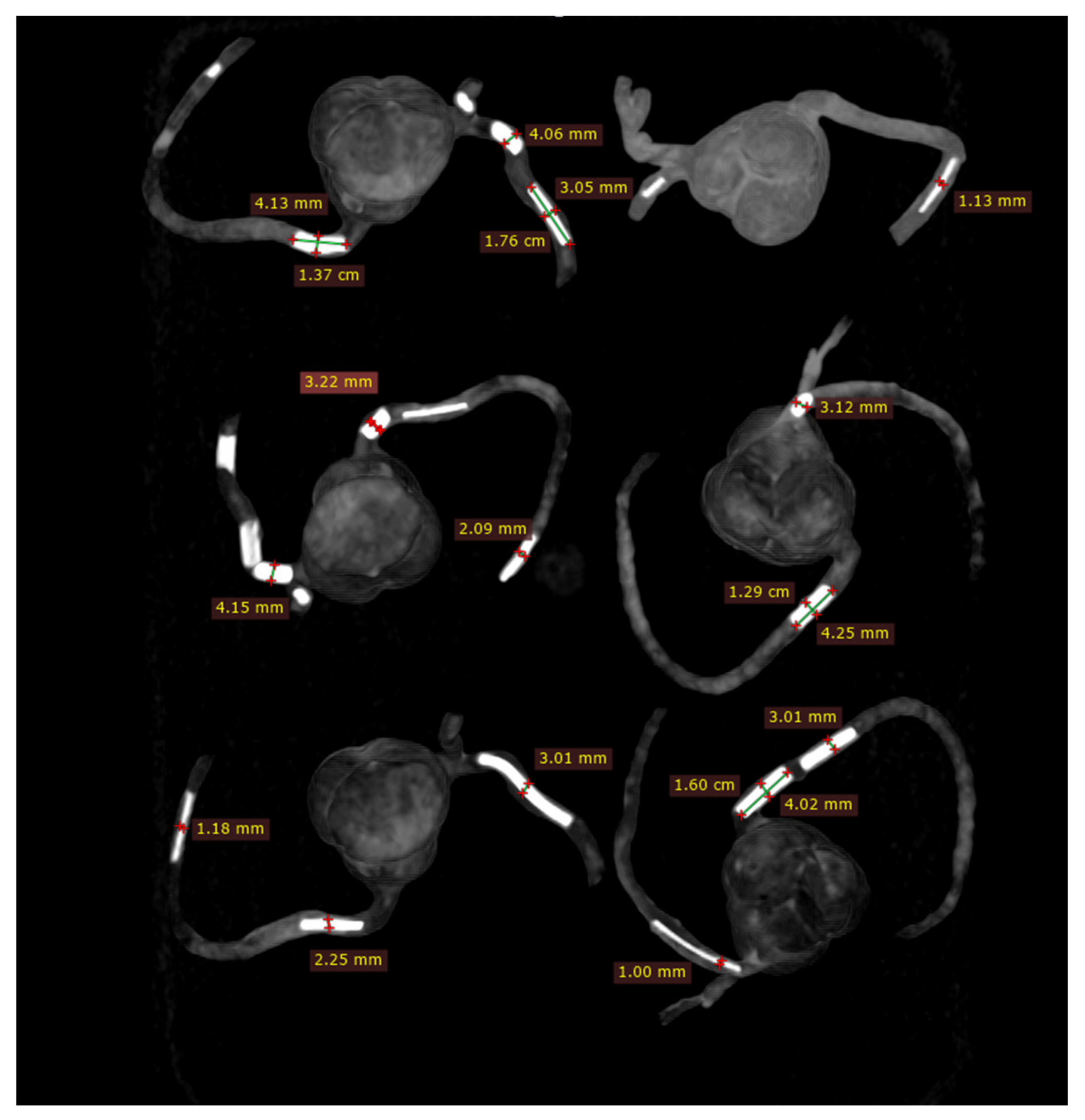 Biomolecules 11 01307 g005 Biomolecules 11 01307 g005