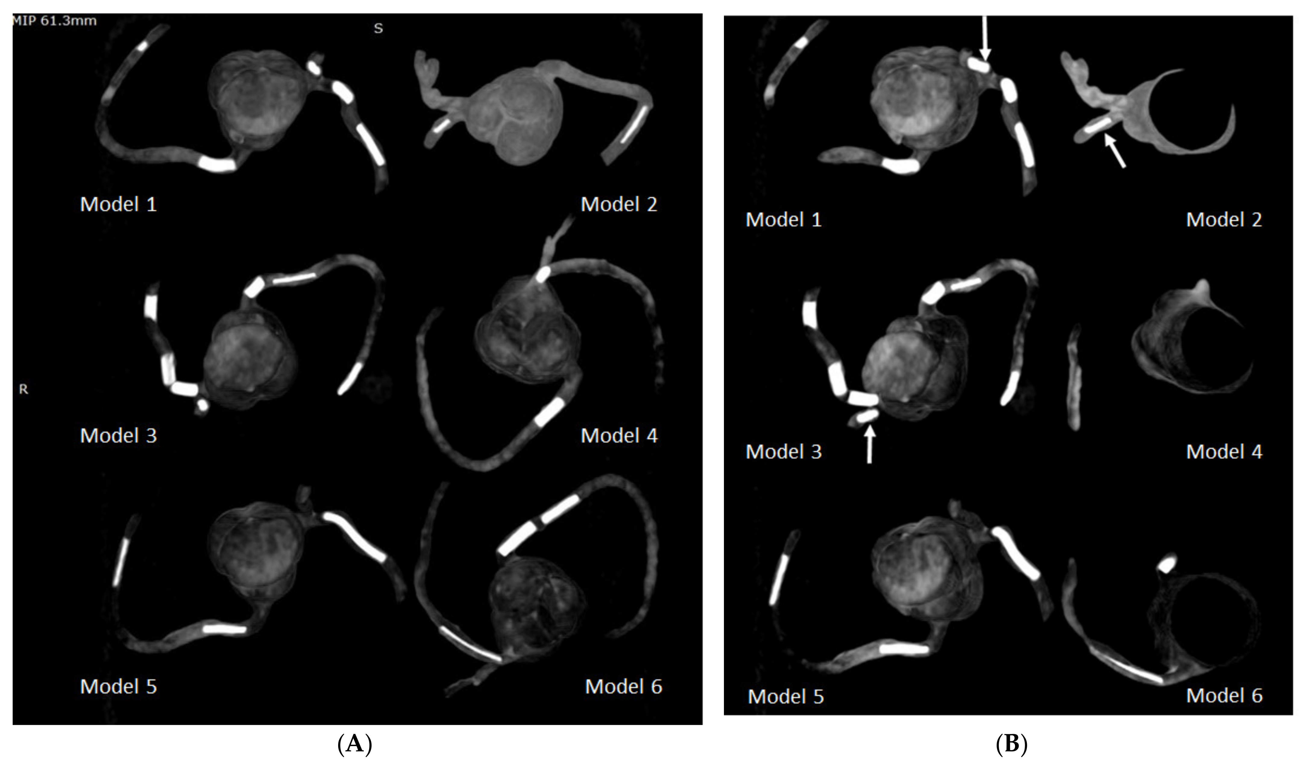 Biomolecules 11 01307 g008 Biomolecules 11 01307 g008