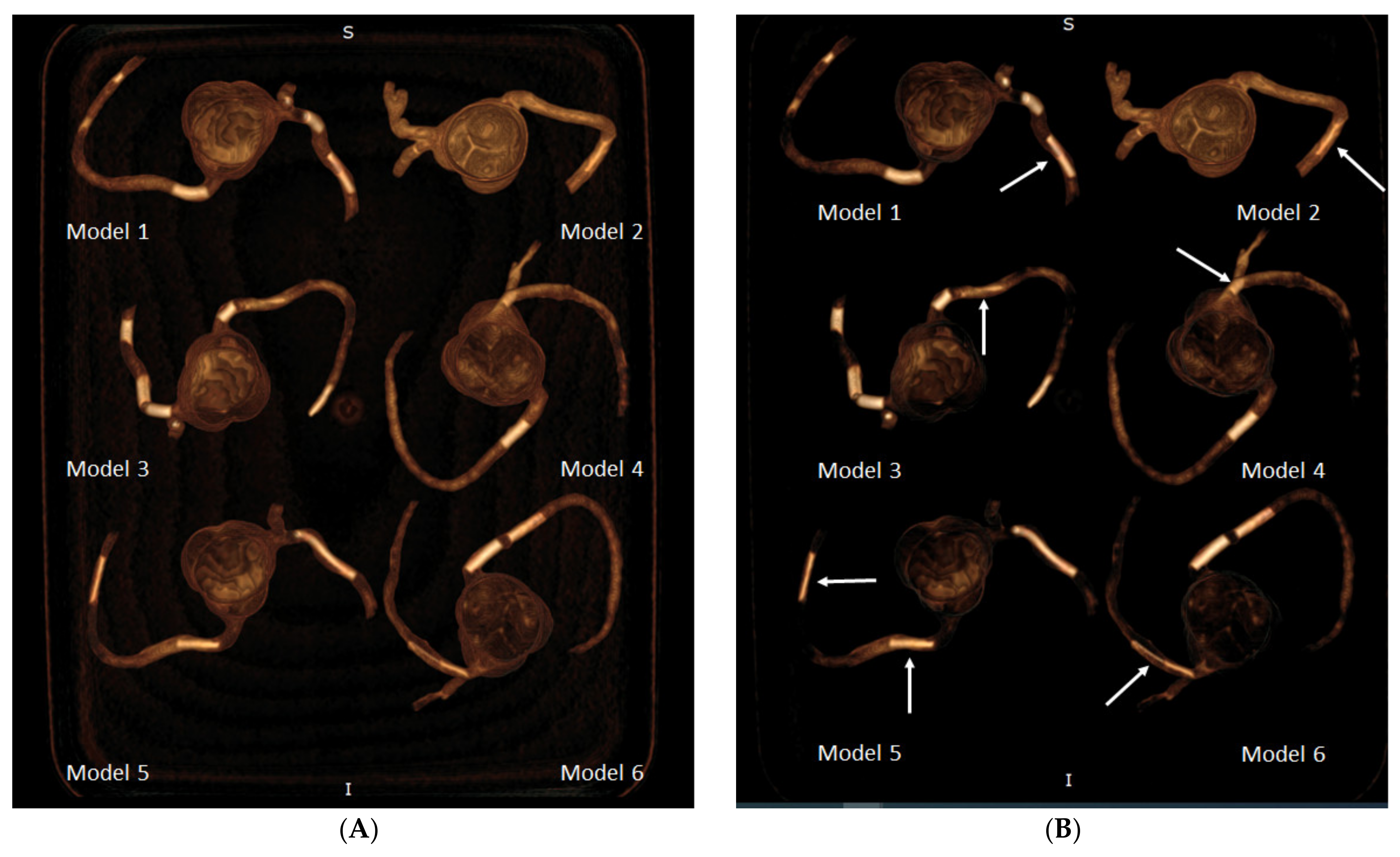 Biomolecules 11 01307 g009 Biomolecules 11 01307 g009