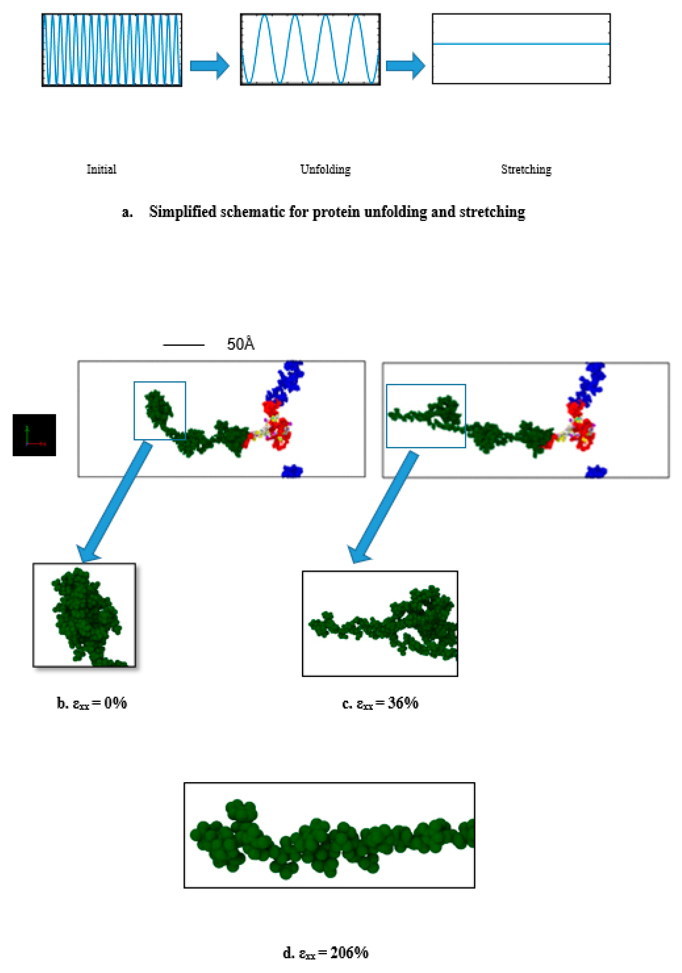 Biomolecules 11 01308 g002