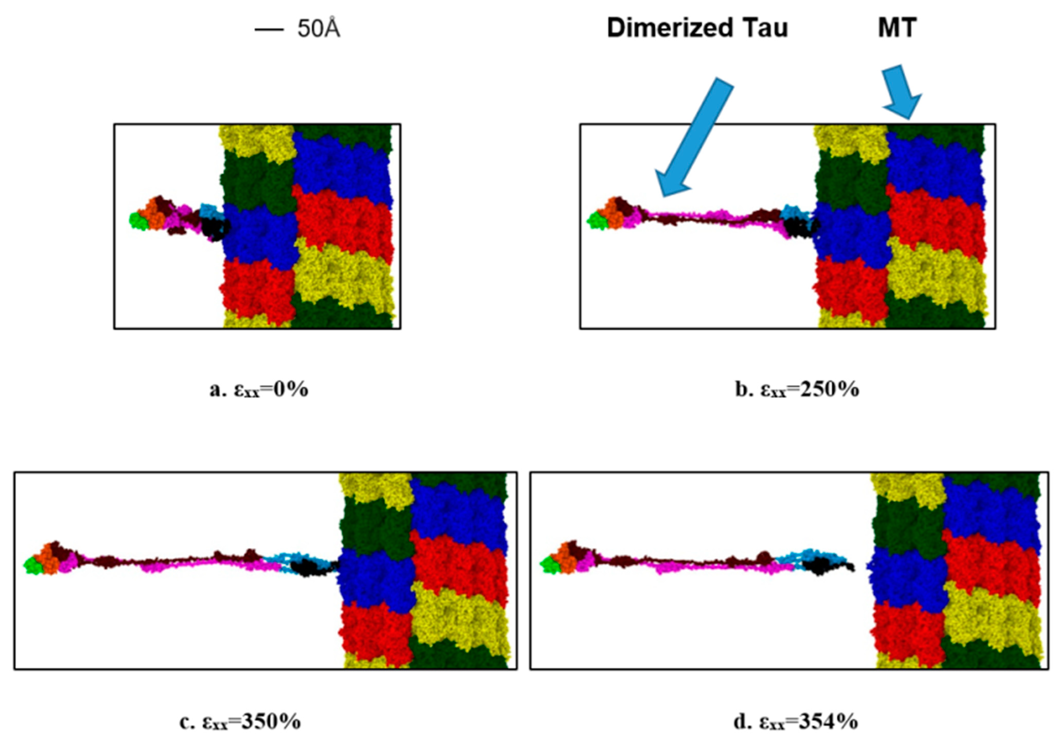 Biomolecules 11 01308 g008