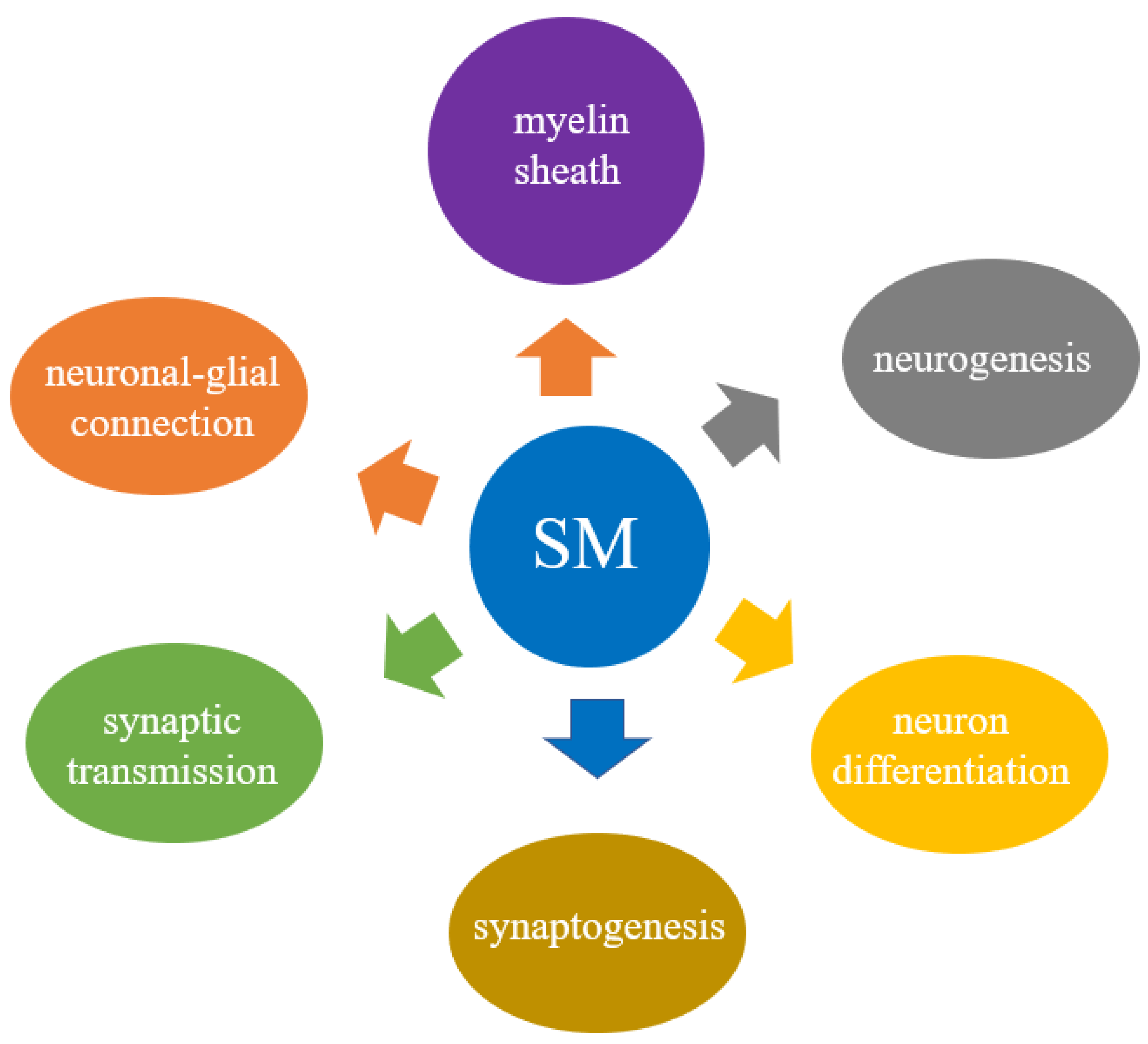 Biomolecules 11 01311 g002