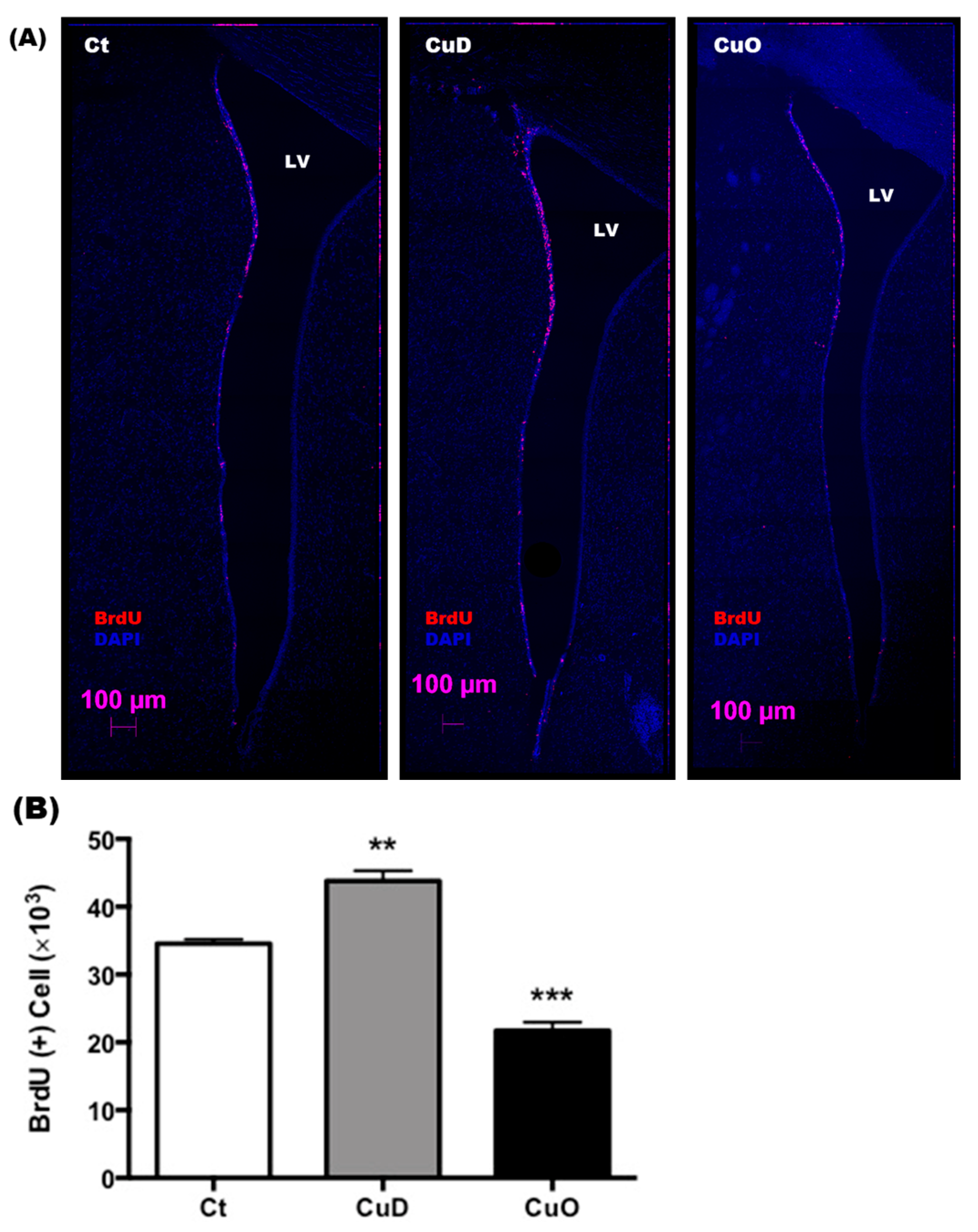Biomolecules 11 01315 g005 Biomolecules 11 01315 g005