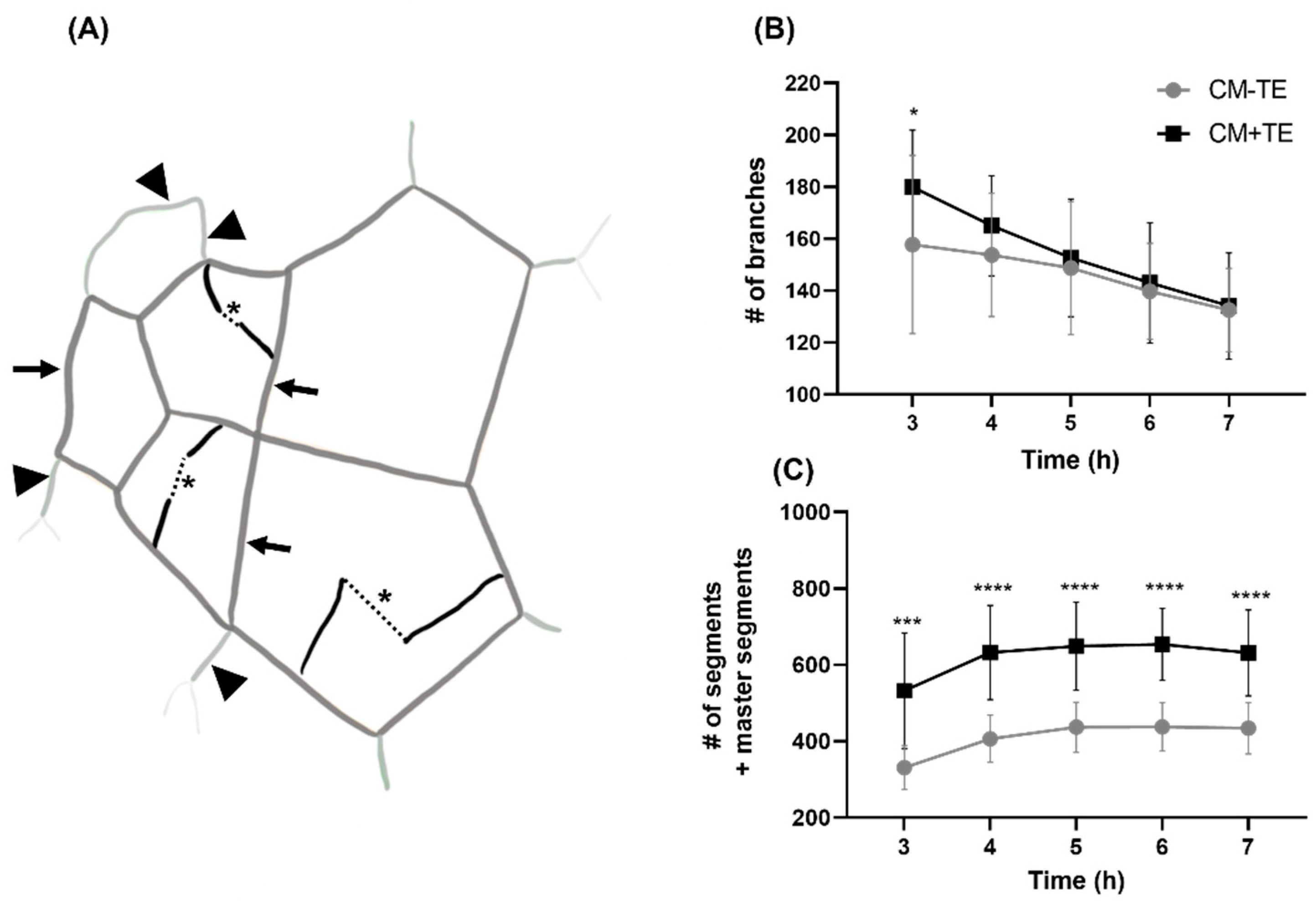 Biomolecules 11 01318 g004