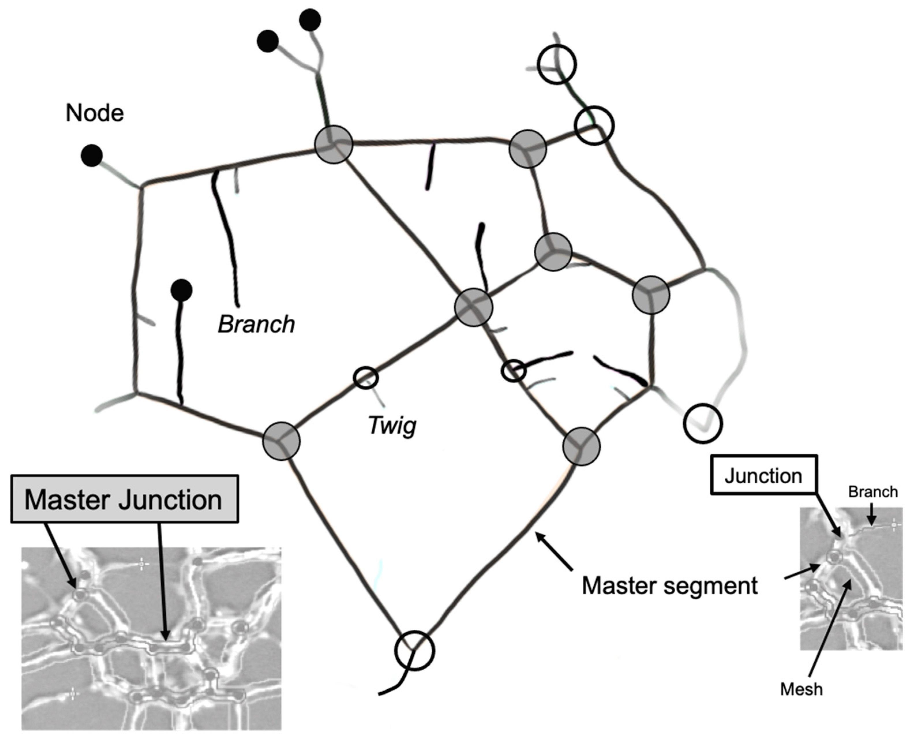 Biomolecules 11 01318 g0a1