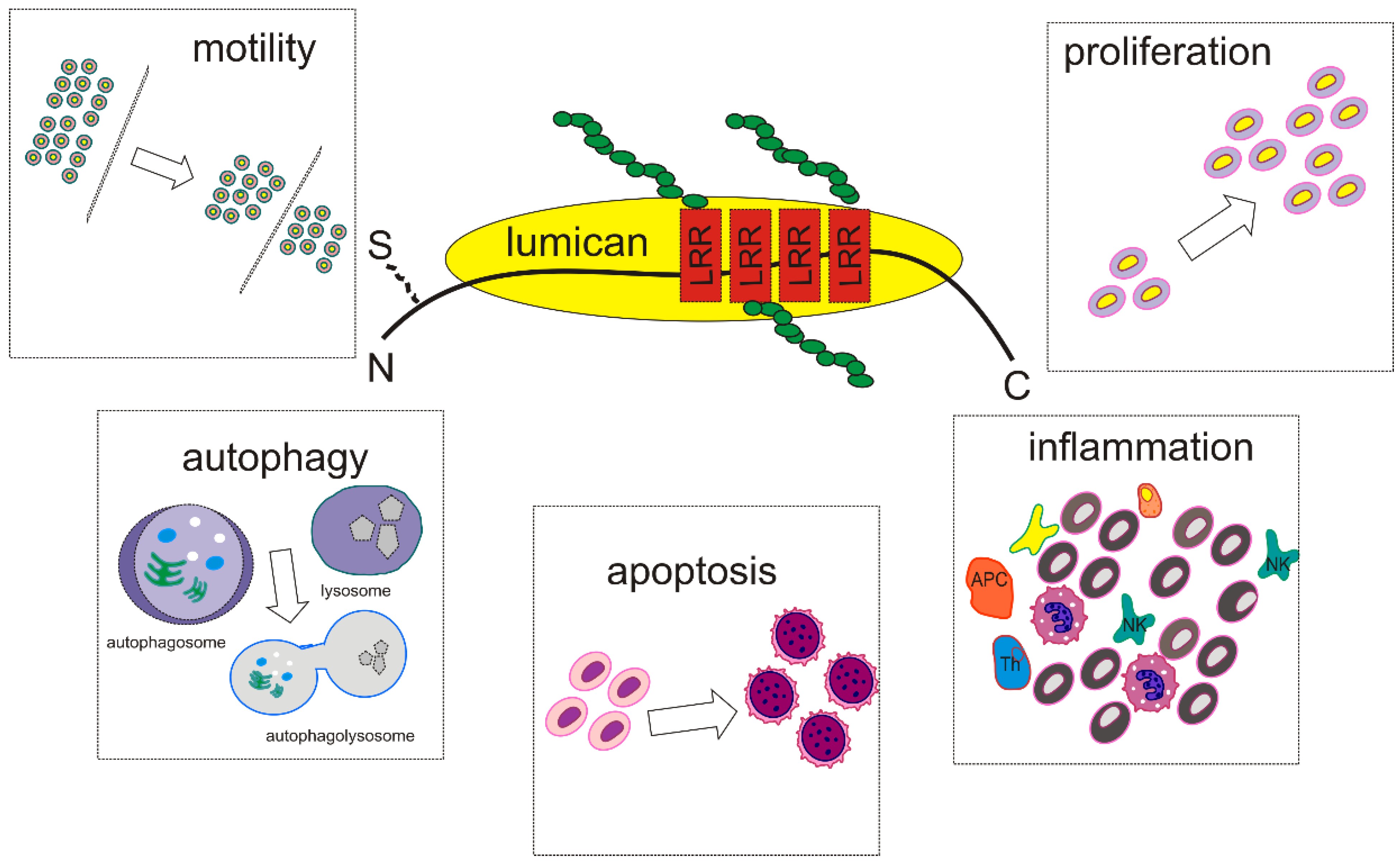 Biomolecules 11 01319 g002