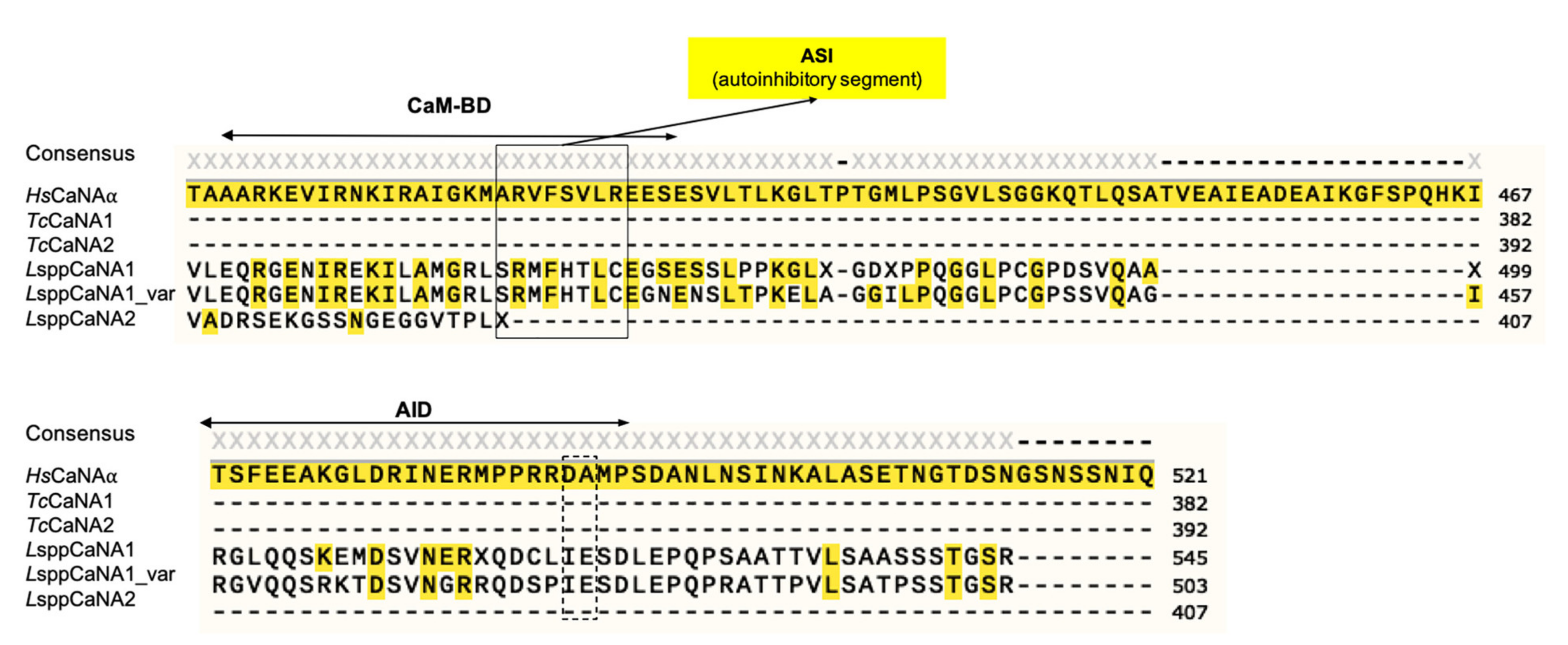 Biomolecules 11 01322 g004 Biomolecules 11 01322 g004