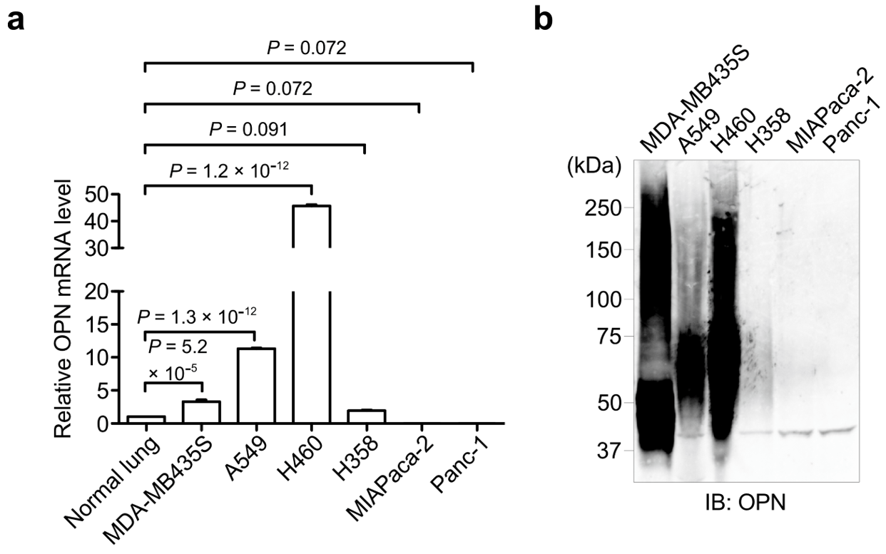 Biomolecules 11 01323 g001