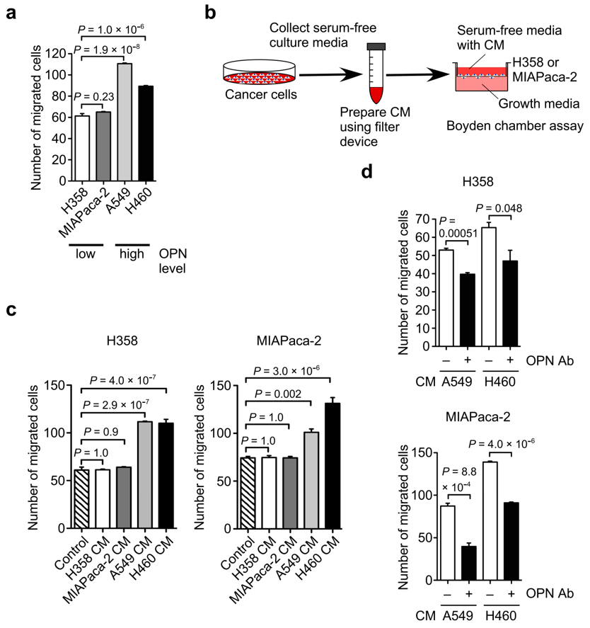 Biomolecules 11 01323 g002