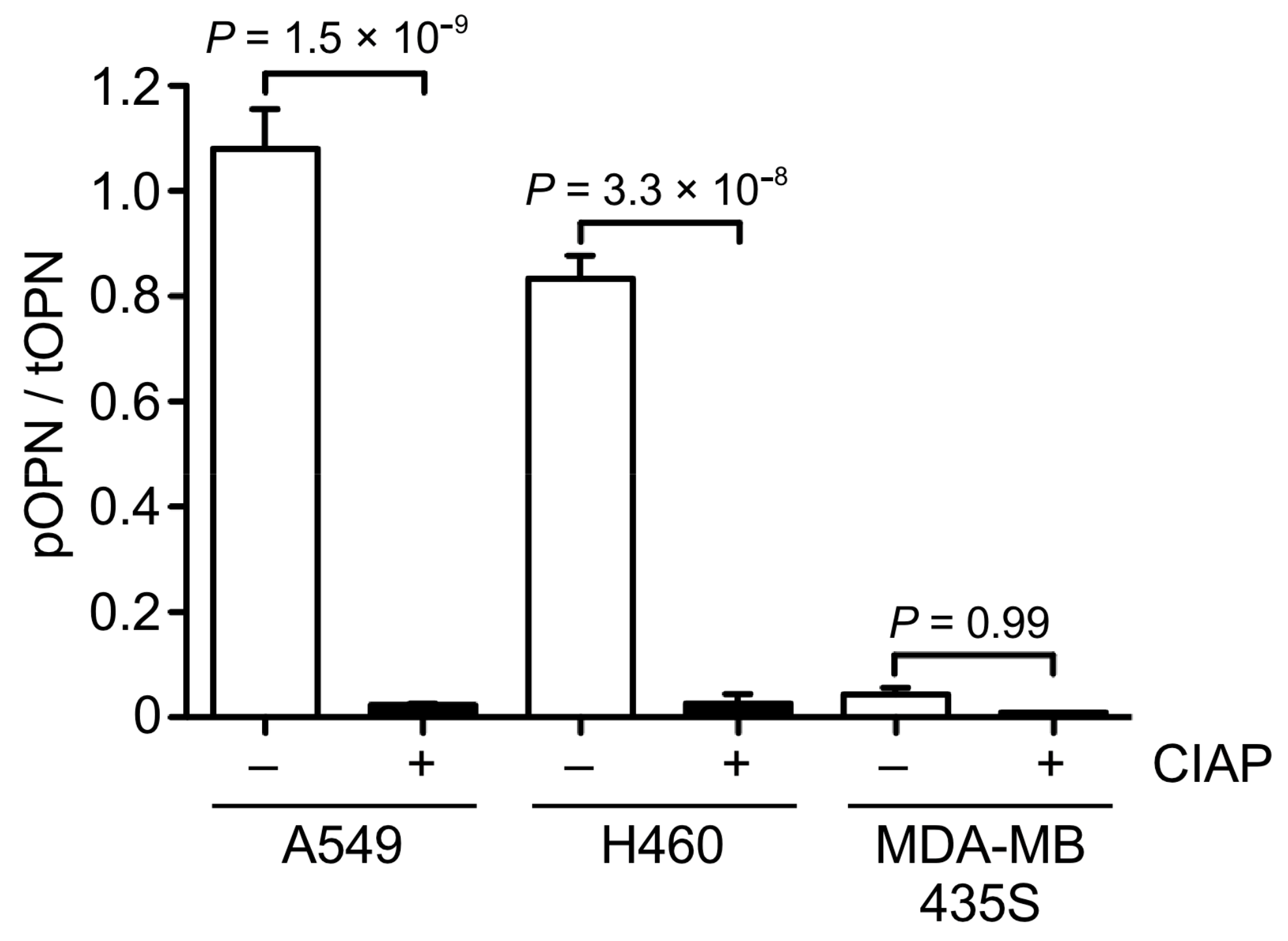 Biomolecules 11 01323 g004
