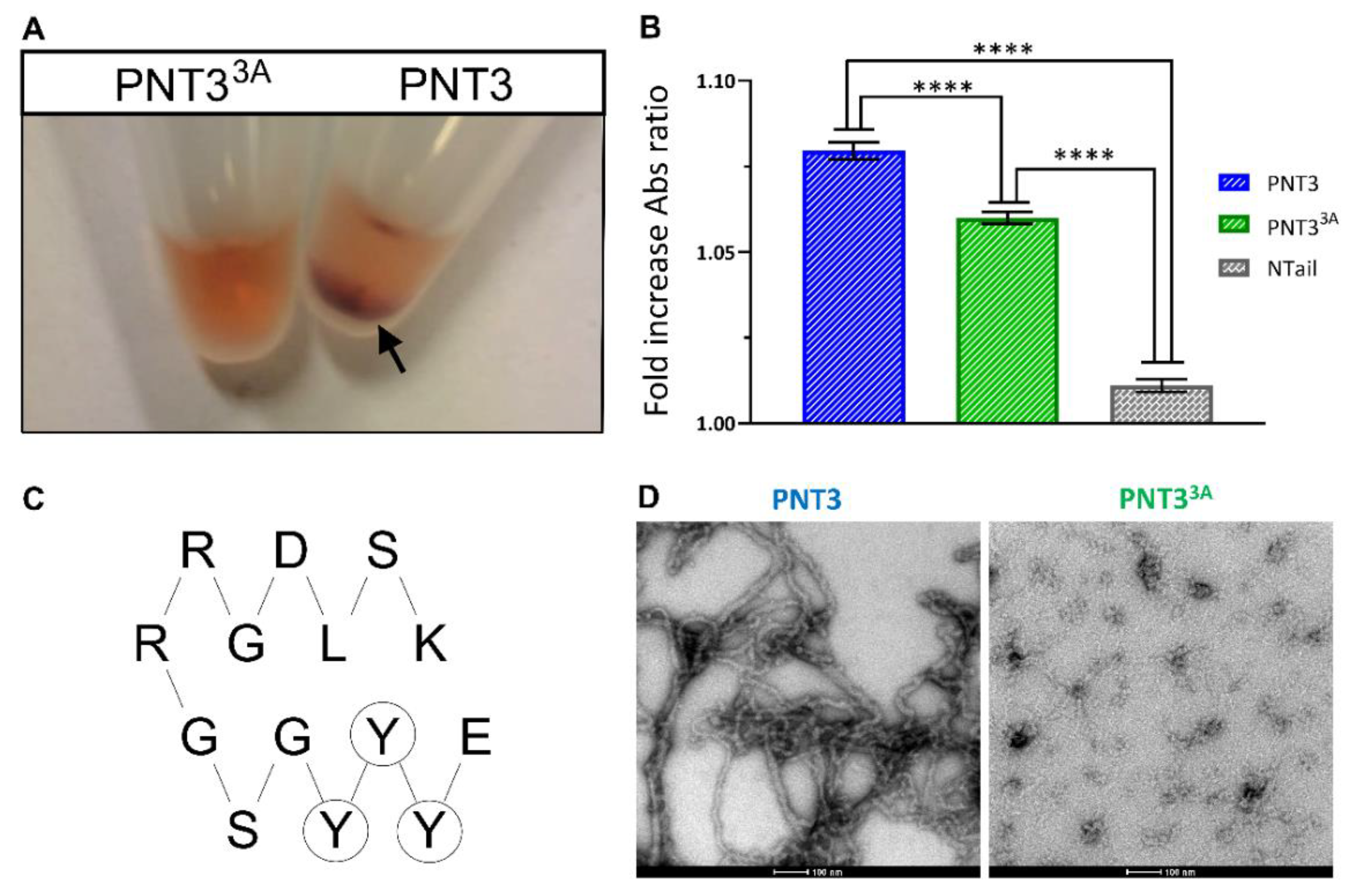 Biomolecules 11 01324 g004