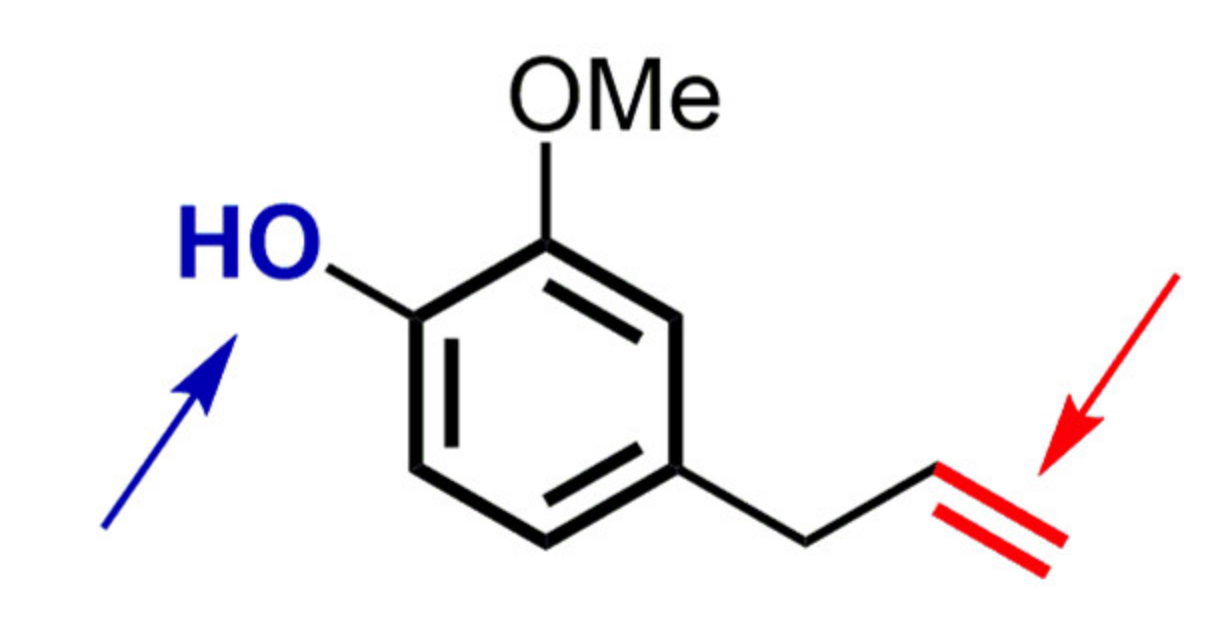 Biomolecules 11 01325 g002