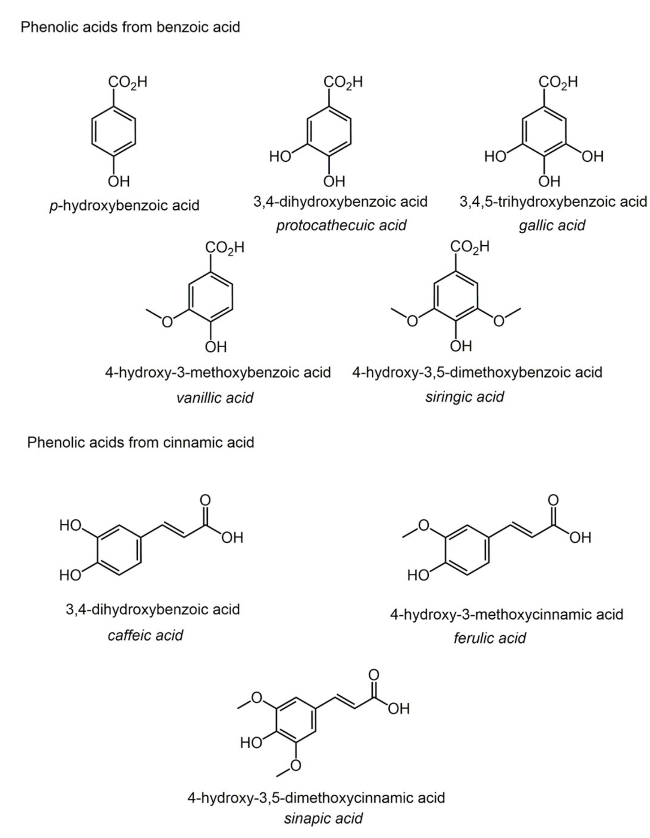 Biomolecules 11 01325 g006