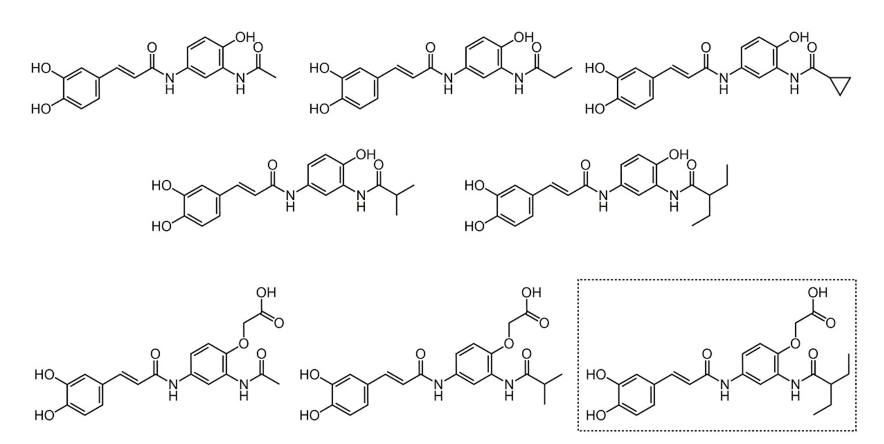 Biomolecules 11 01325 g007