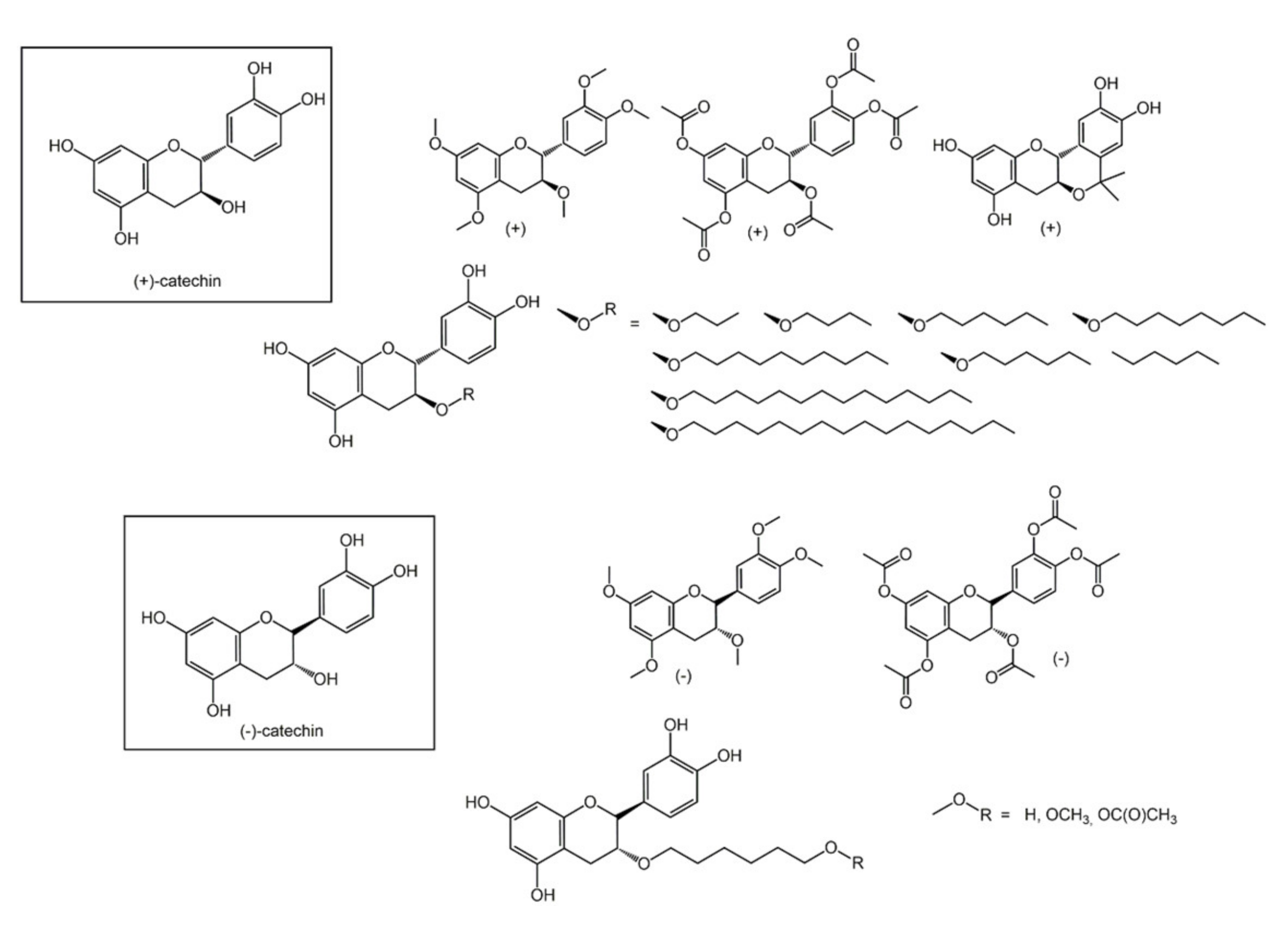 Biomolecules 11 01325 g010