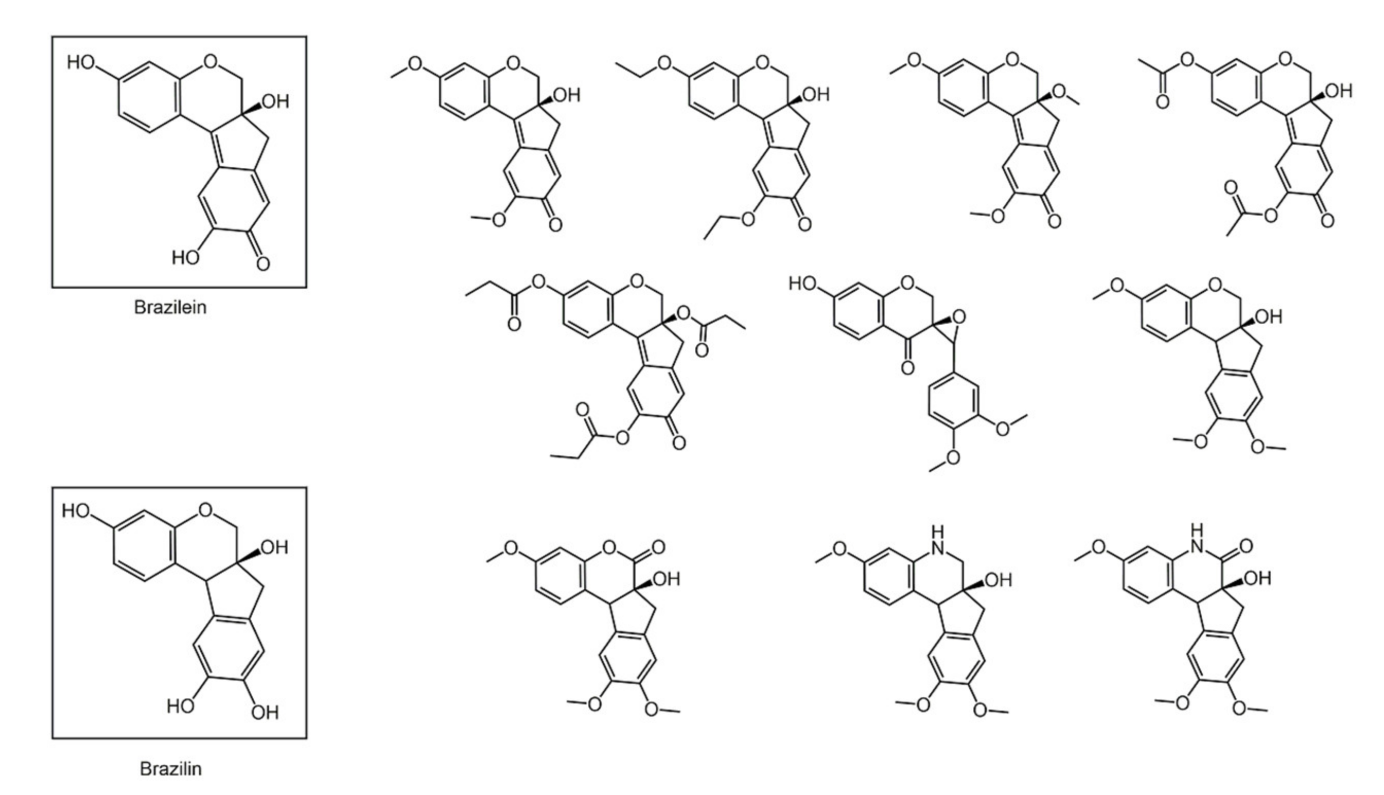 Biomolecules 11 01325 g011