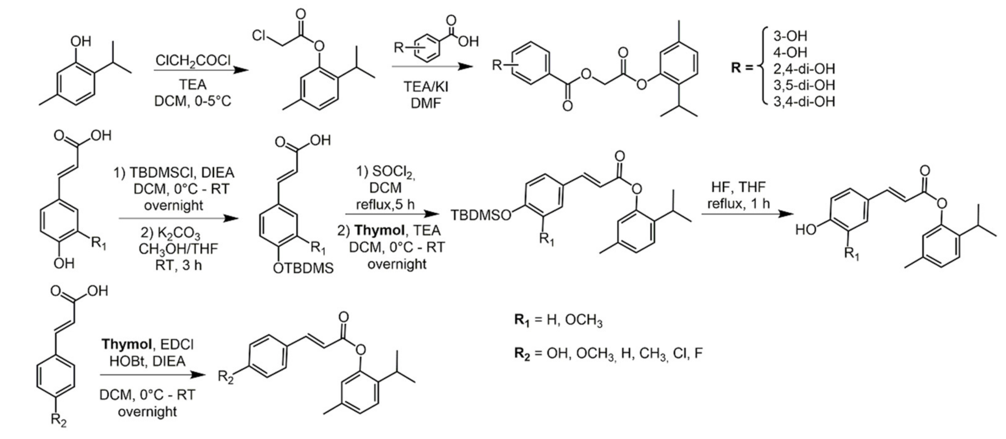 Biomolecules 11 01325 sch014