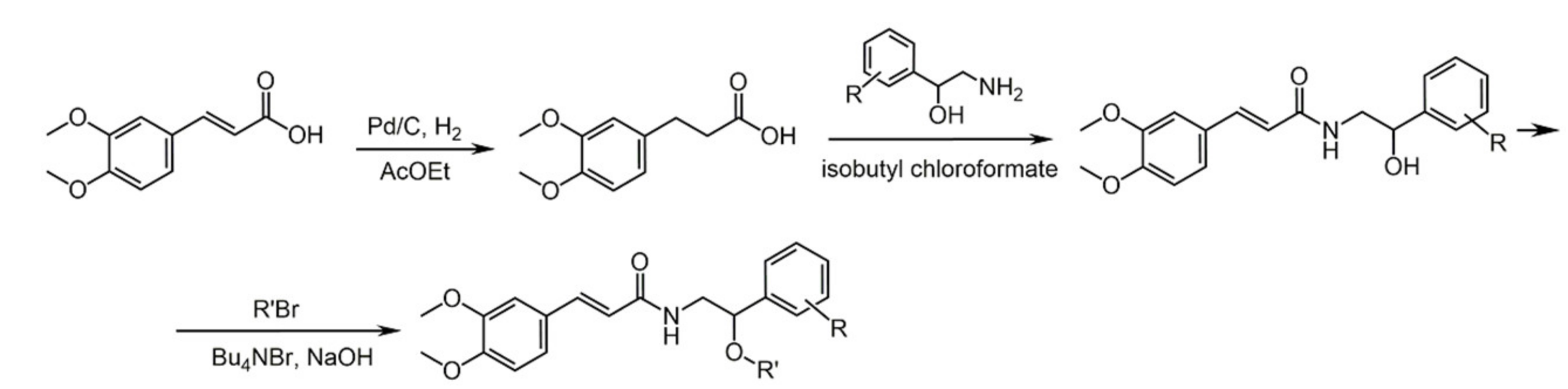 Biomolecules 11 01325 sch031