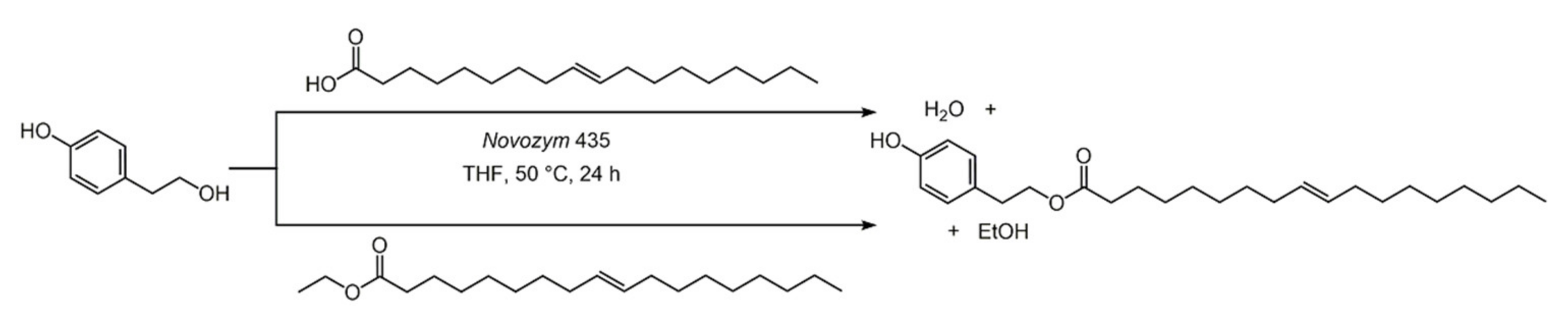 Biomolecules 11 01325 sch035