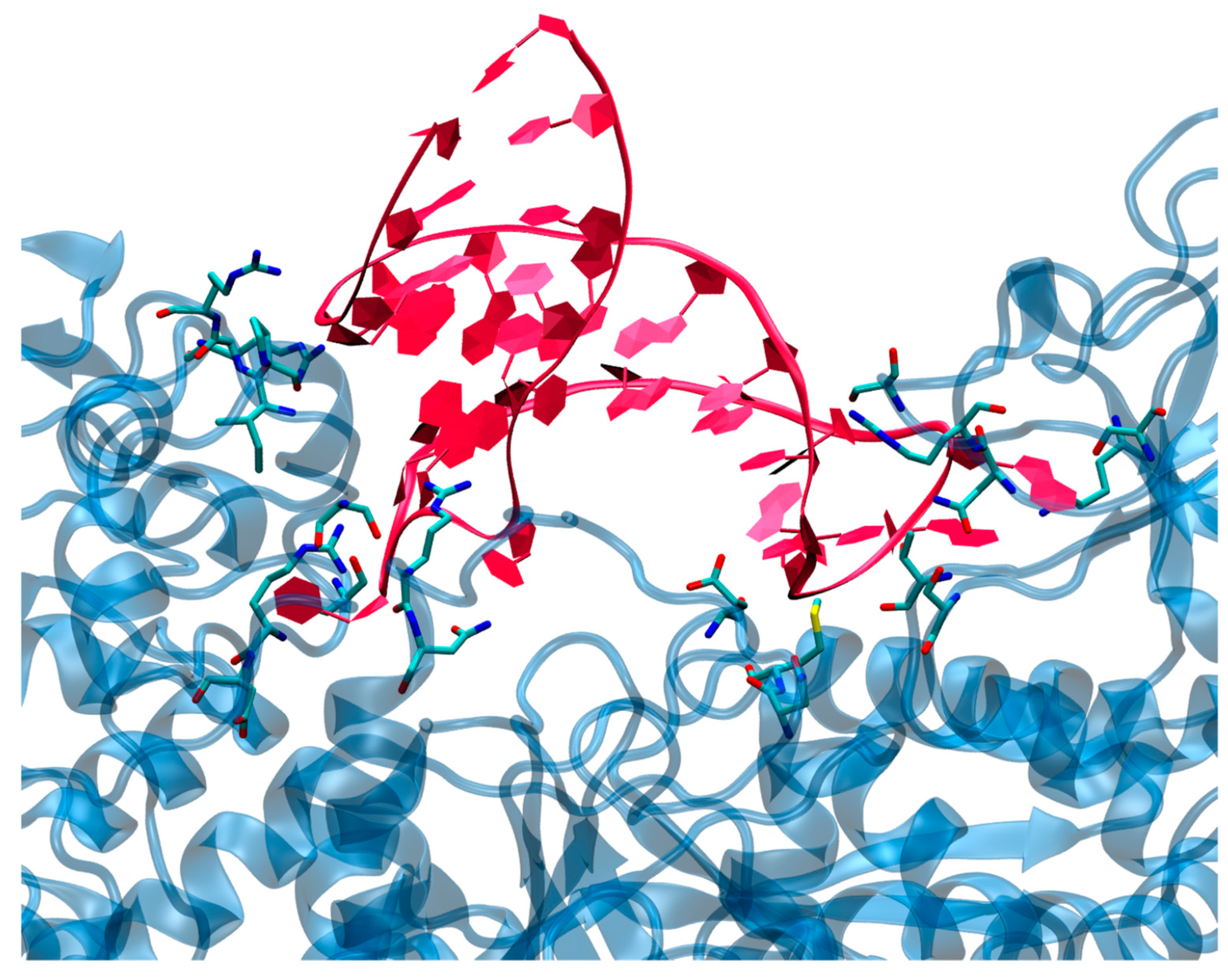 Biomolecules 11 01329 g003 Biomolecules 11 01329 g003